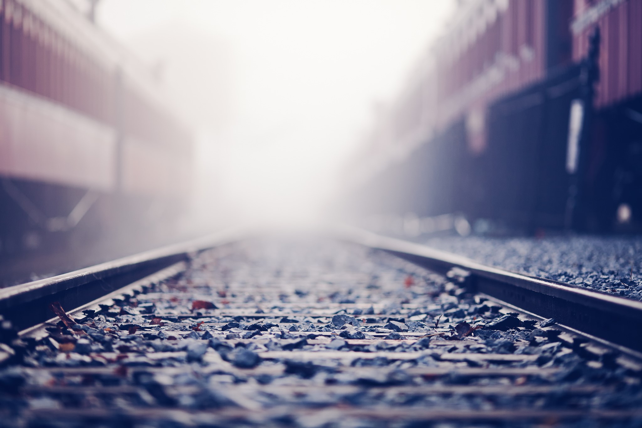Train tracks in fog with trains on either side HD Wallpaper