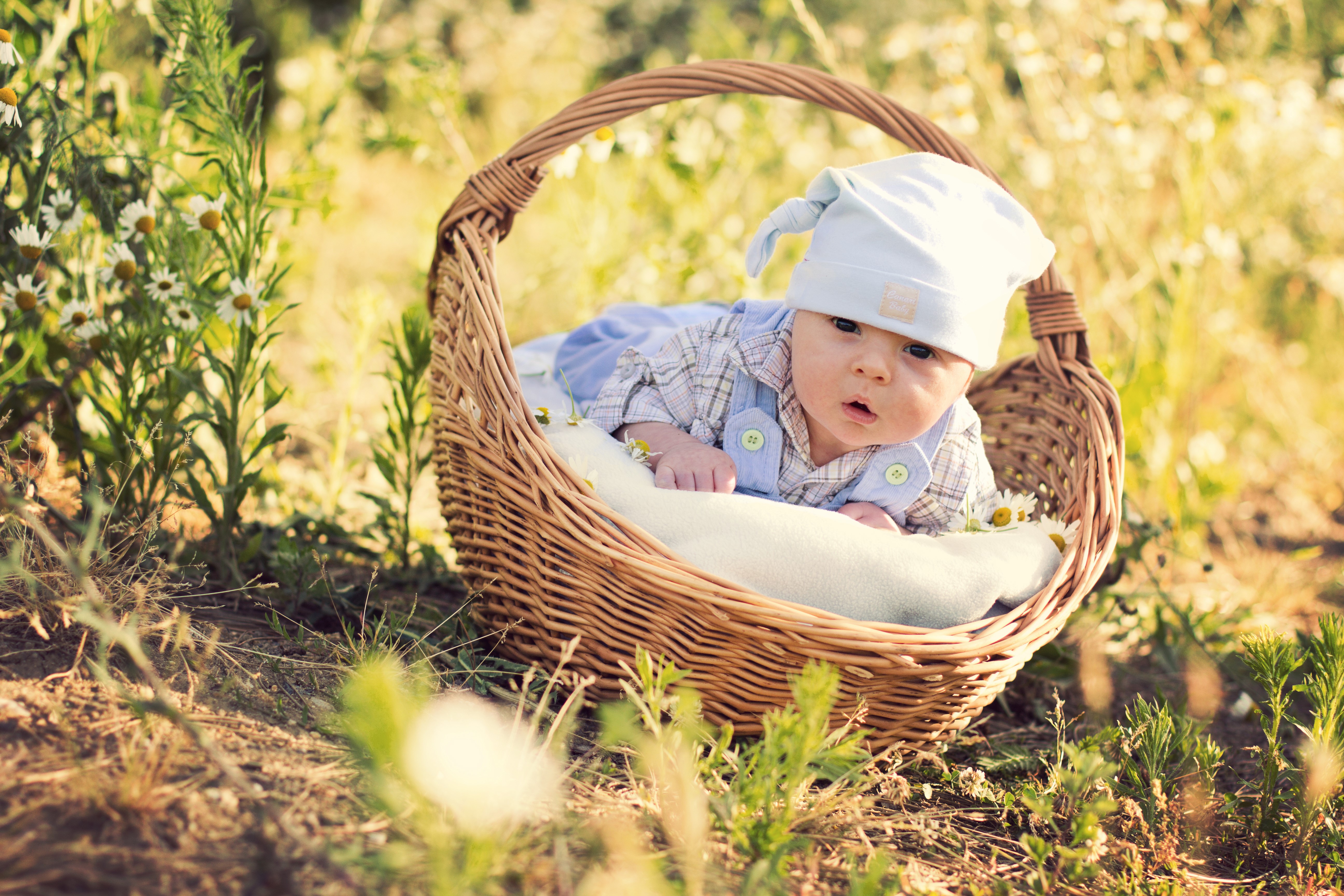 Infant in a wicker basket outdoors HD Wallpaper