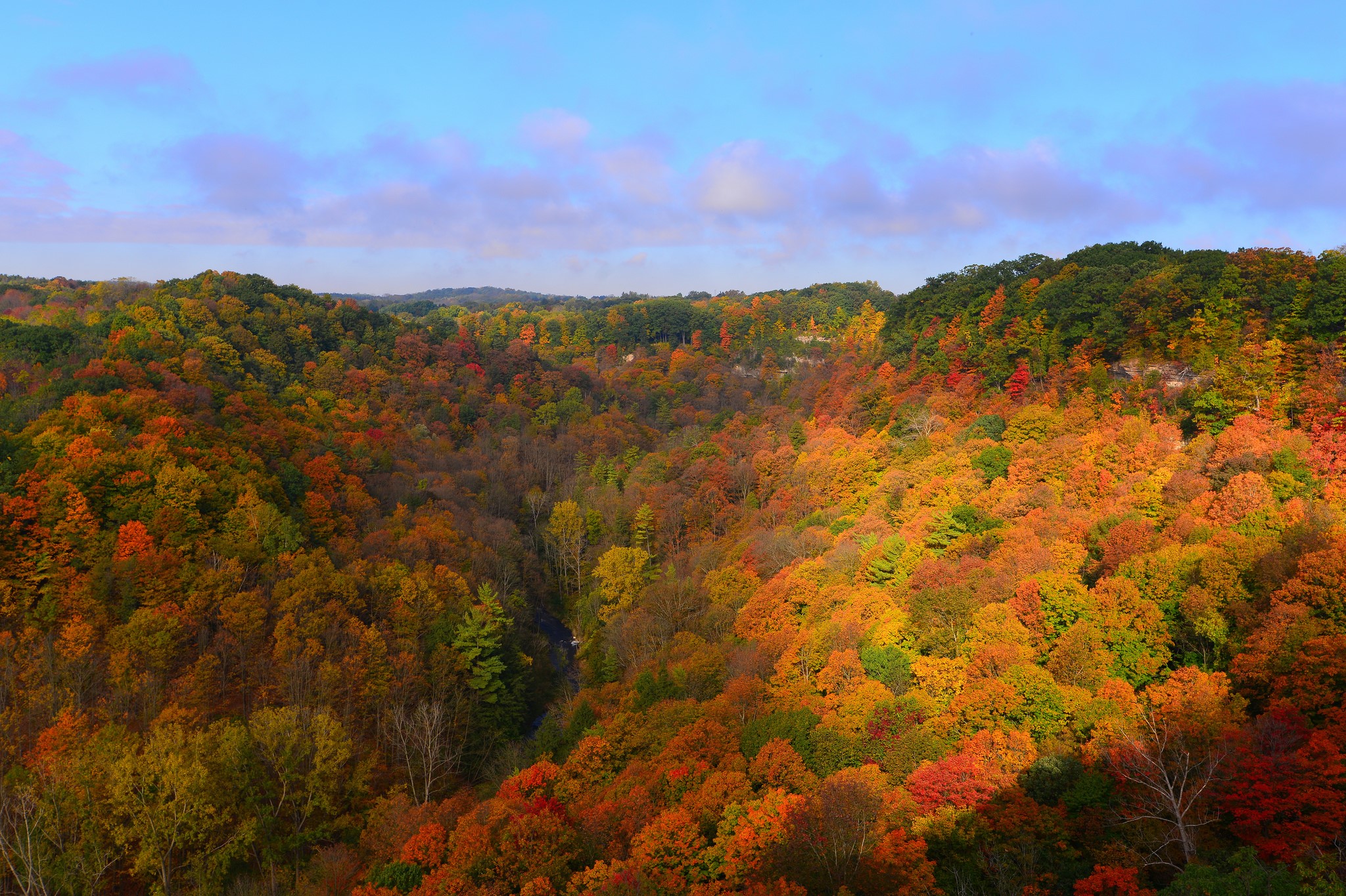 Autumn forest with colorful trees and a river HD Wallpaper
