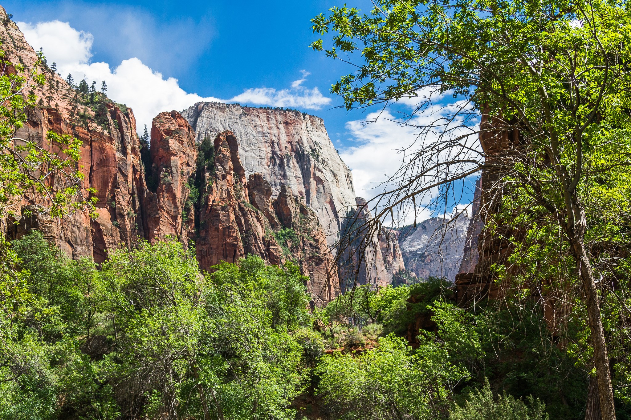 Red and white mountains with green trees and blue sky HD Wallpaper
