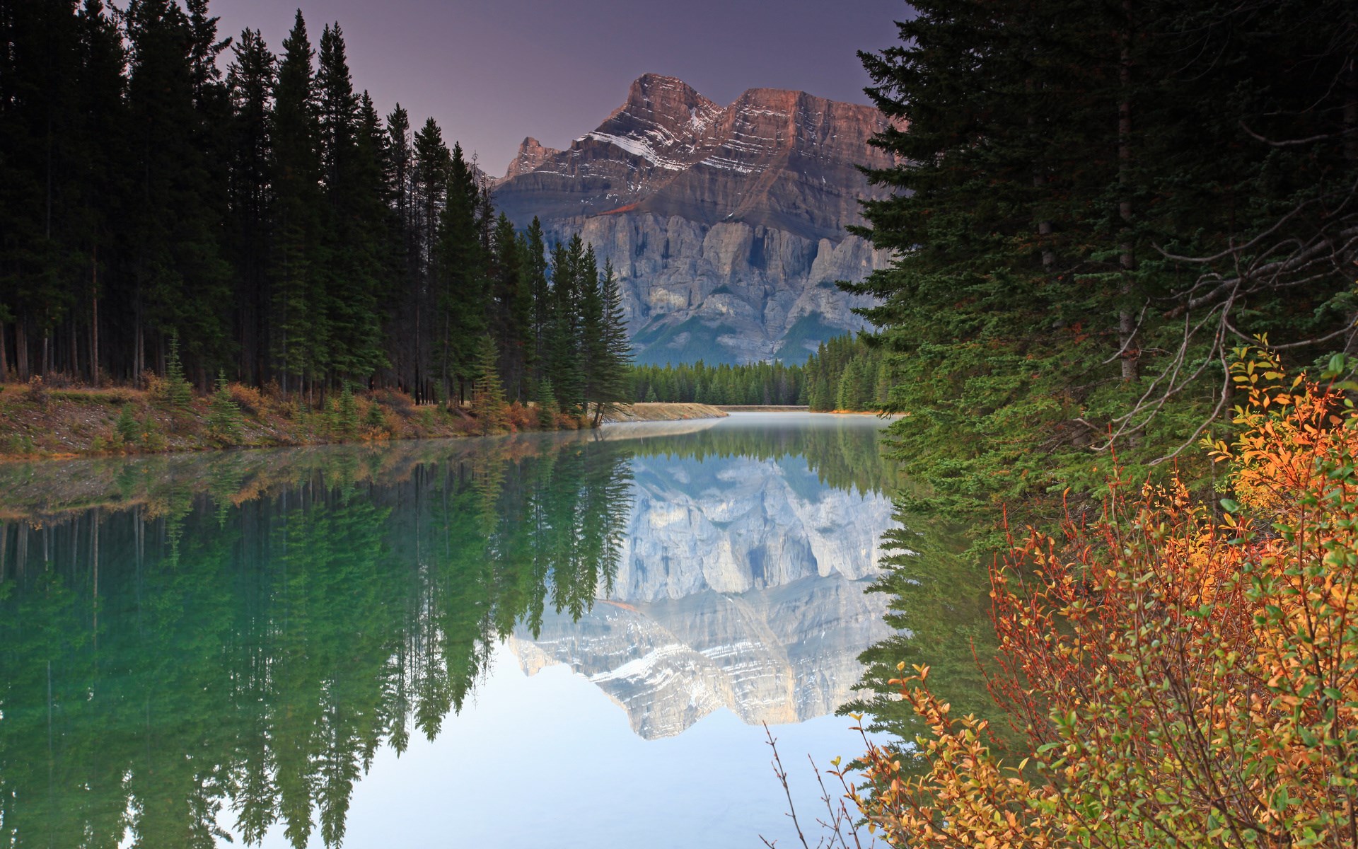 Mountain reflected in a calm lake with pine trees HD Wallpaper