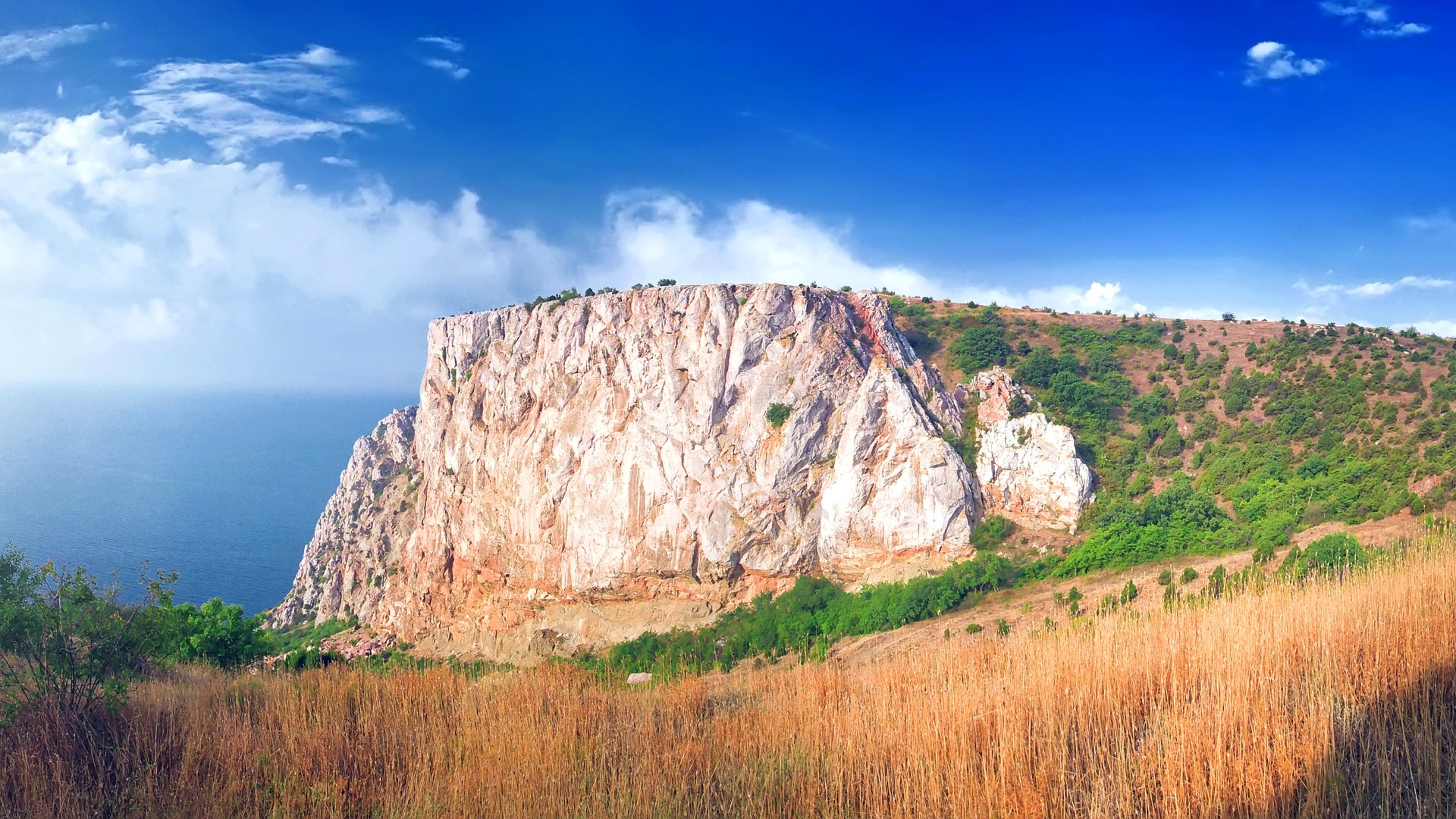 Cliff overlooking the sea with dry grass in the foreground HD Wallpaper