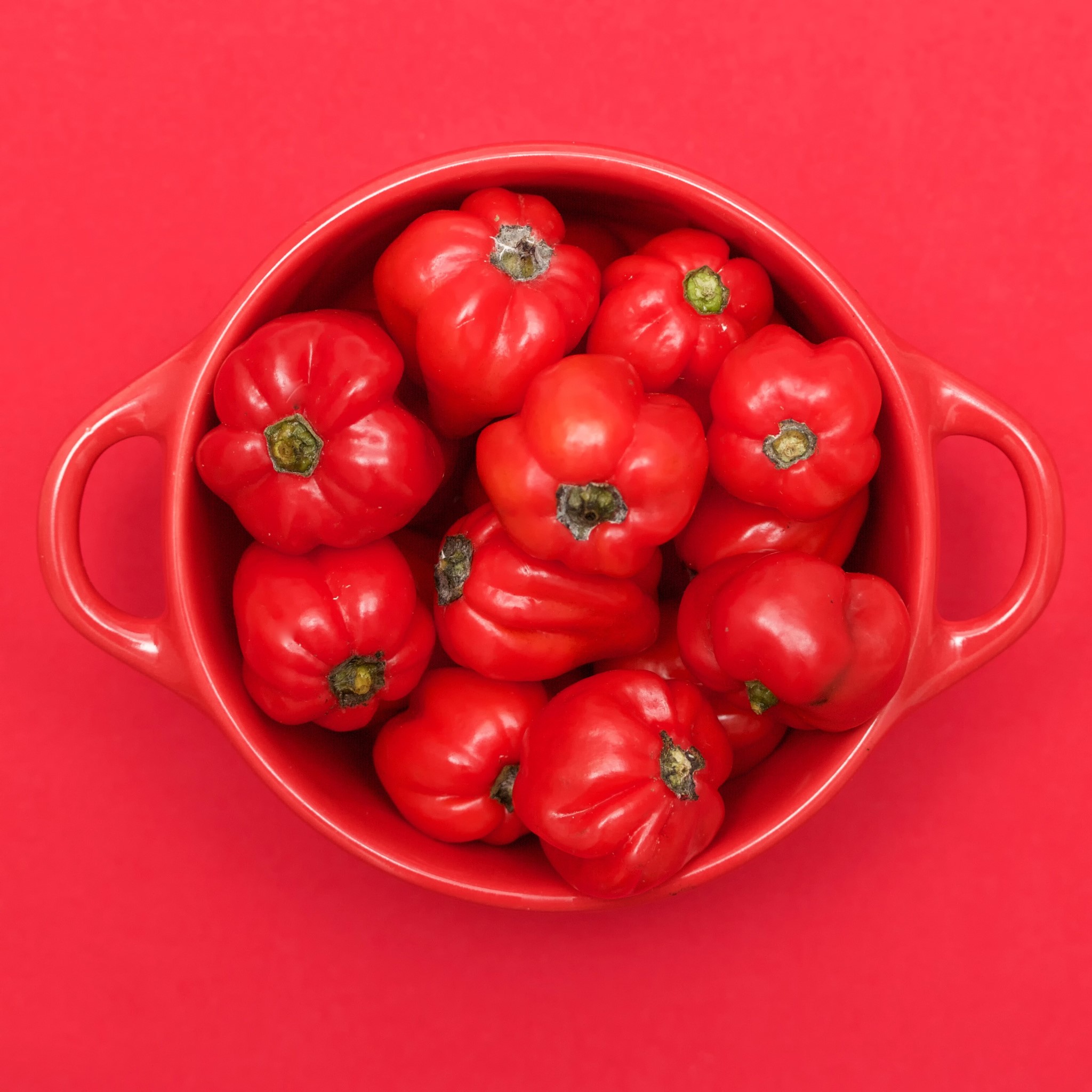 Red bell peppers in a red bowl HD Wallpaper