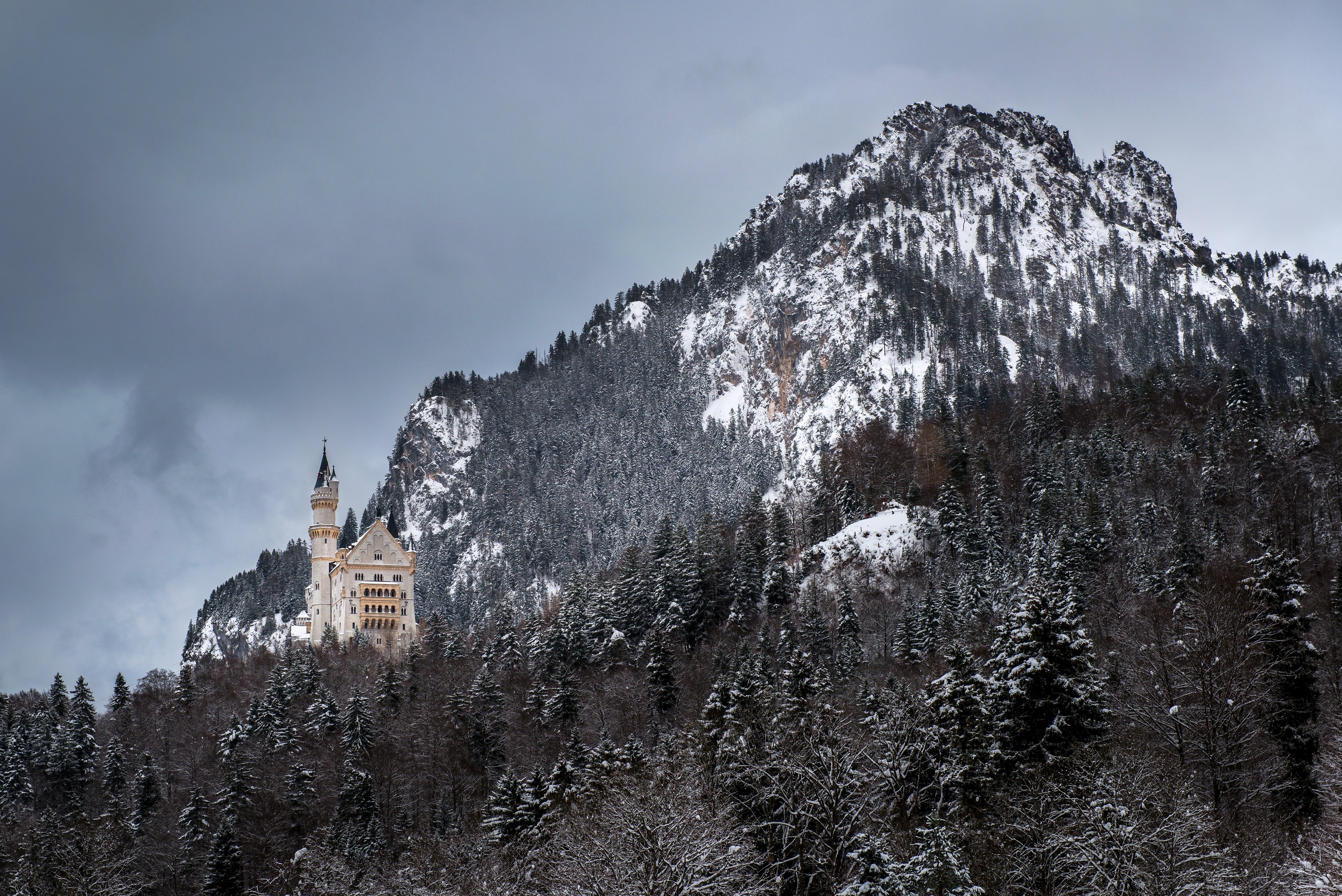 Neuschwanstein Castle in Bavarian Mountains, Germany HD Wallpaper