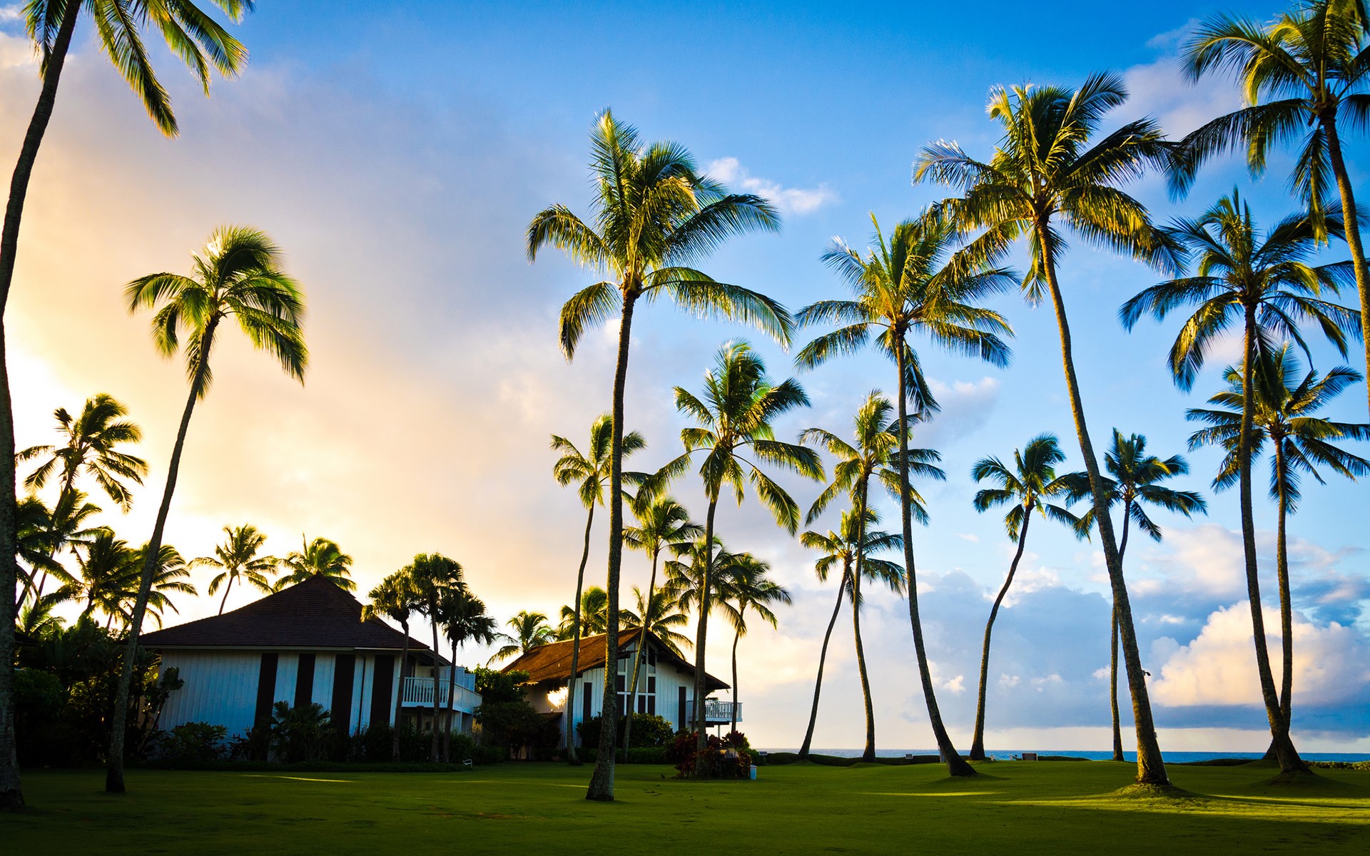 Palm trees and houses on Kauai, Hawaii HD Wallpaper