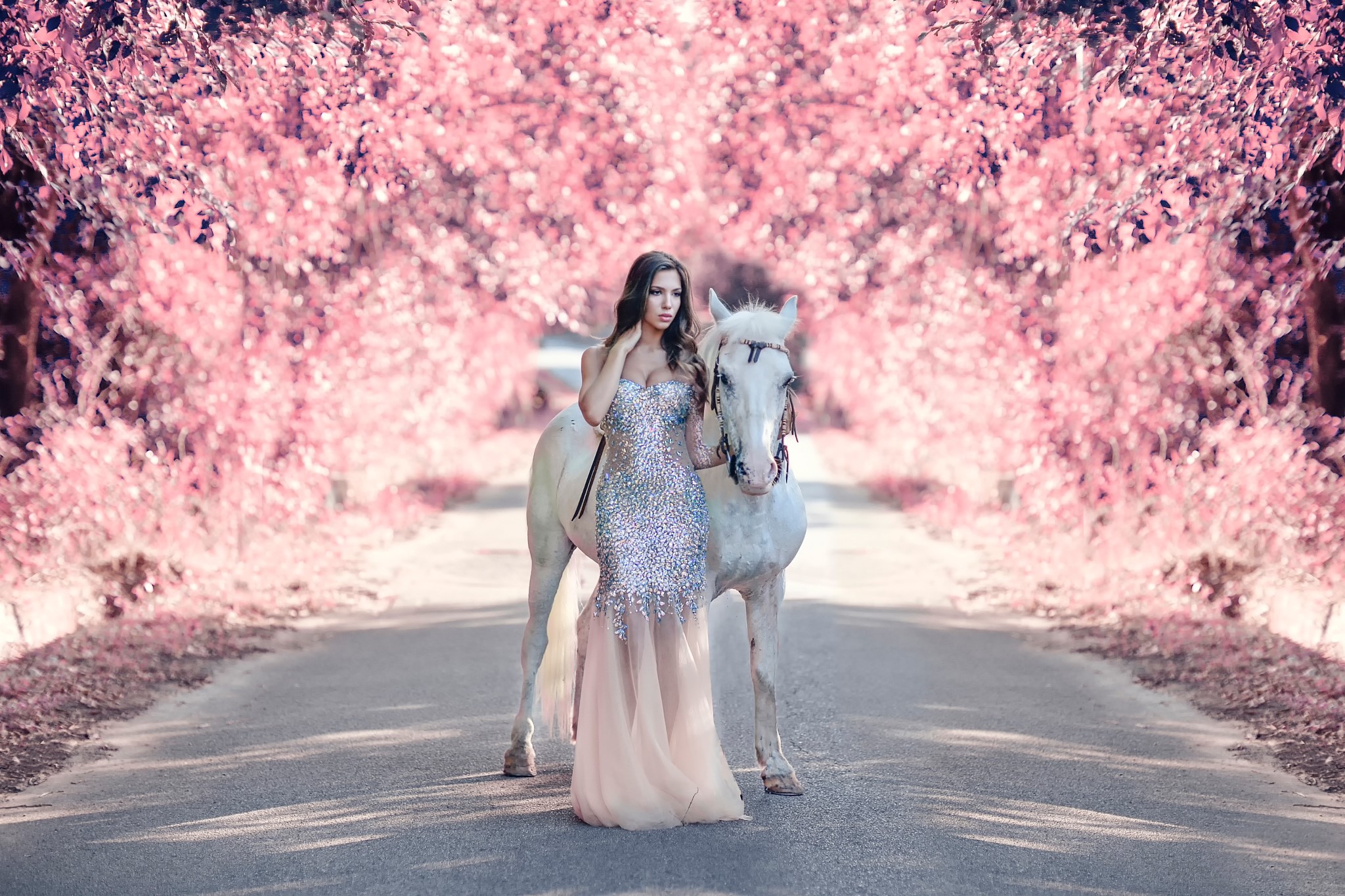 Woman in a sparkly dress with a white horse HD Wallpaper