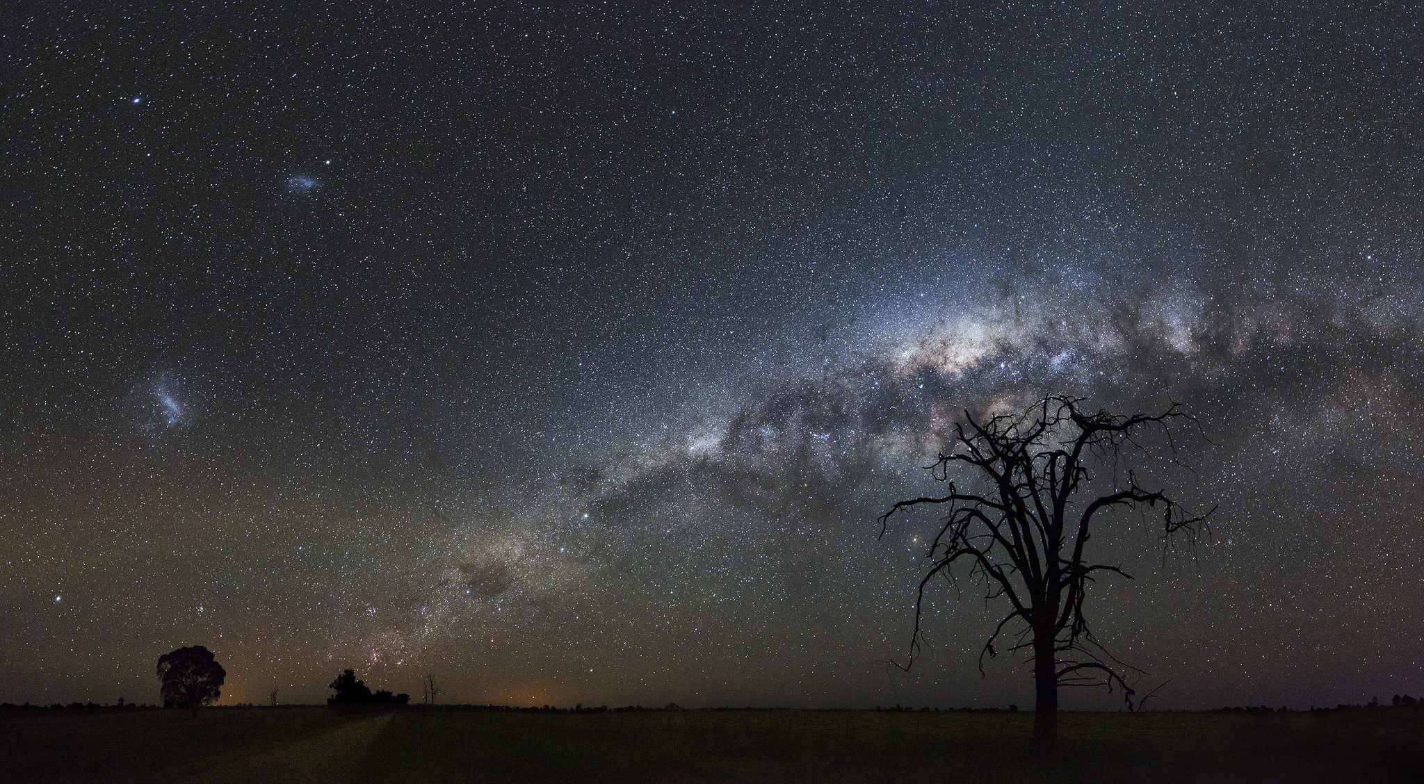 Milky Way over a silhouetted tree and landscape HD Wallpaper
