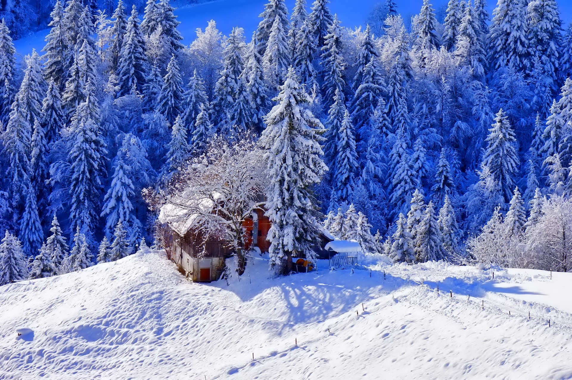 Snowy forest with a cabin HD Wallpaper