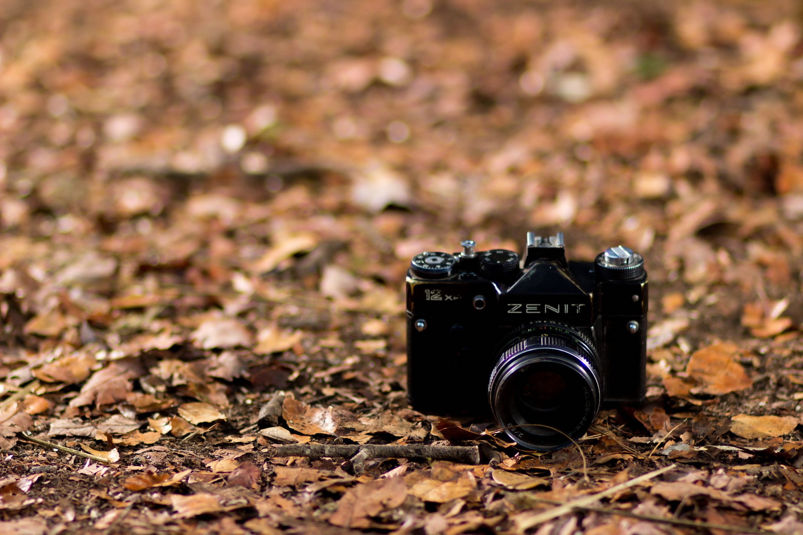 Zenit camera on autumn foliage HD Wallpaper