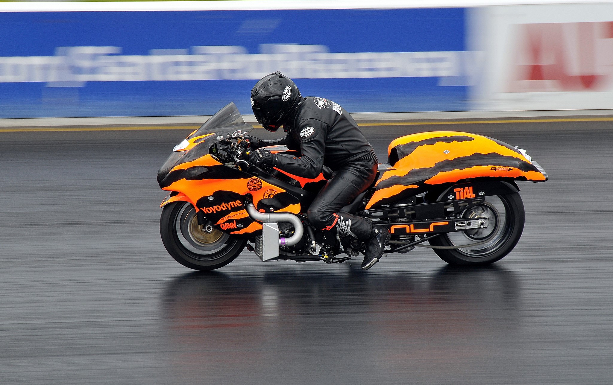 Motorcyclist in black leather racing a drag bike with orange and black tiger stripes HD Wallpaper