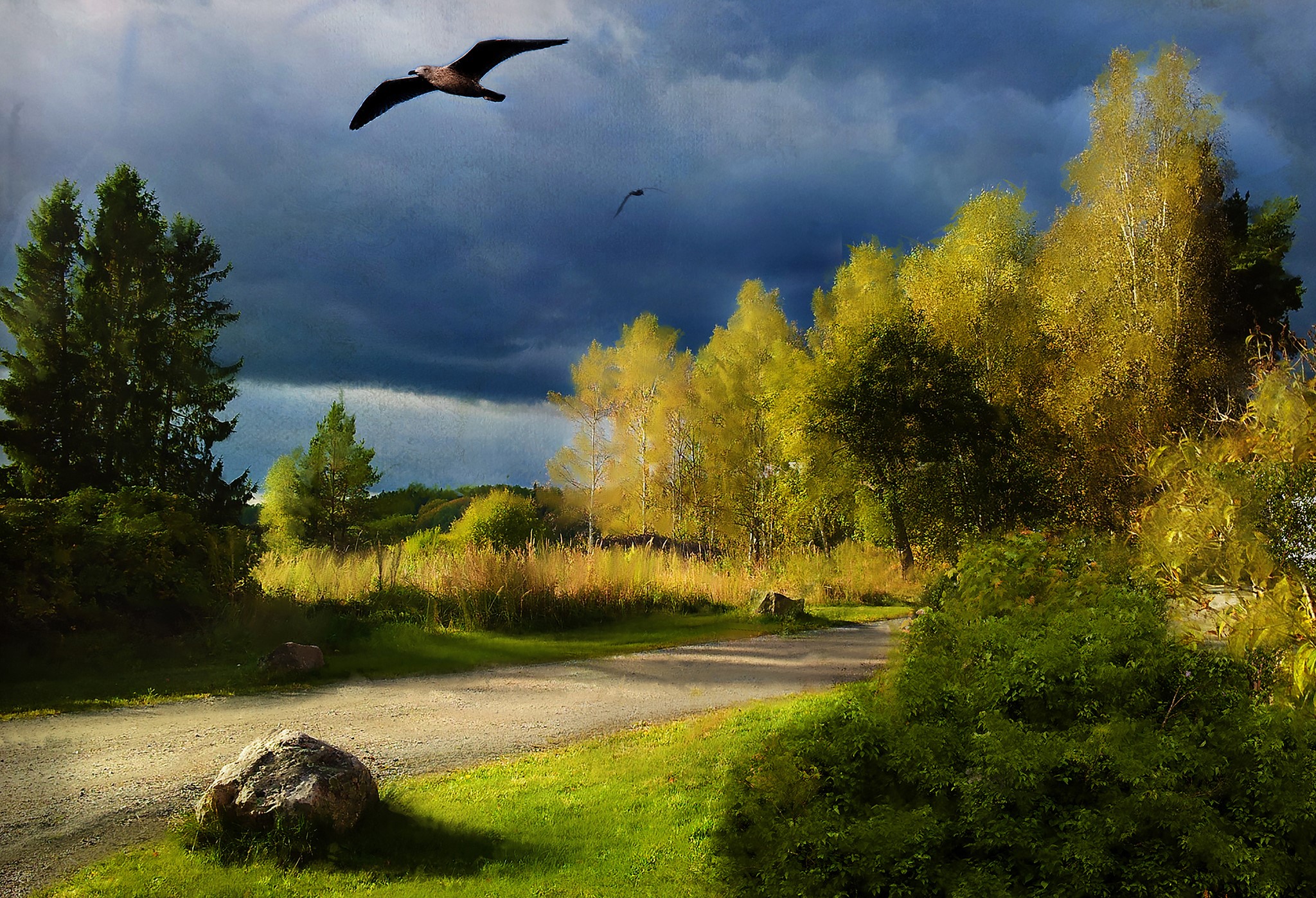 A dirt road winds through a landscape with trees and a bird flying HD Wallpaper
