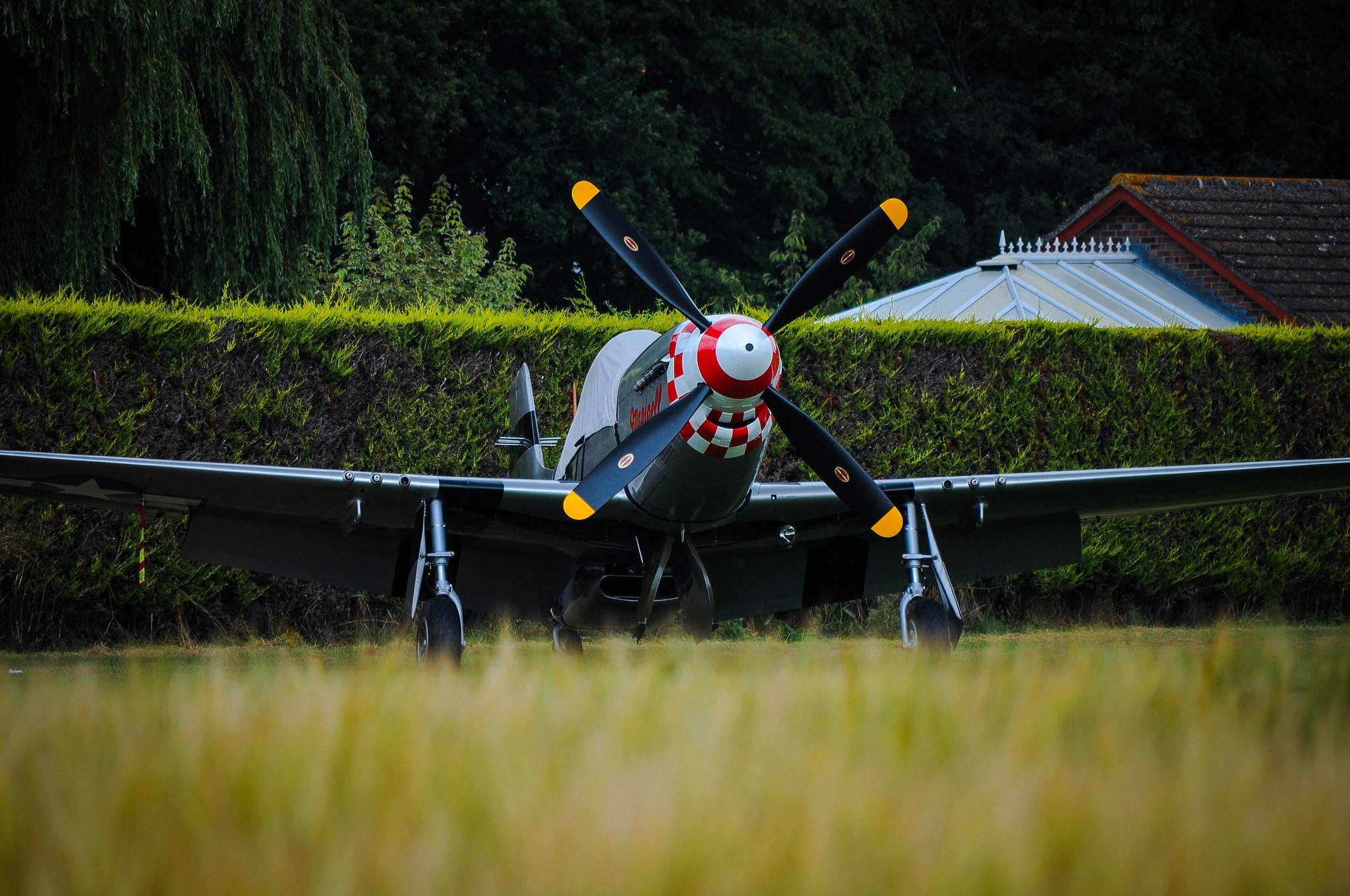 P-51D Mustang fighter airplane on grass HD Wallpaper