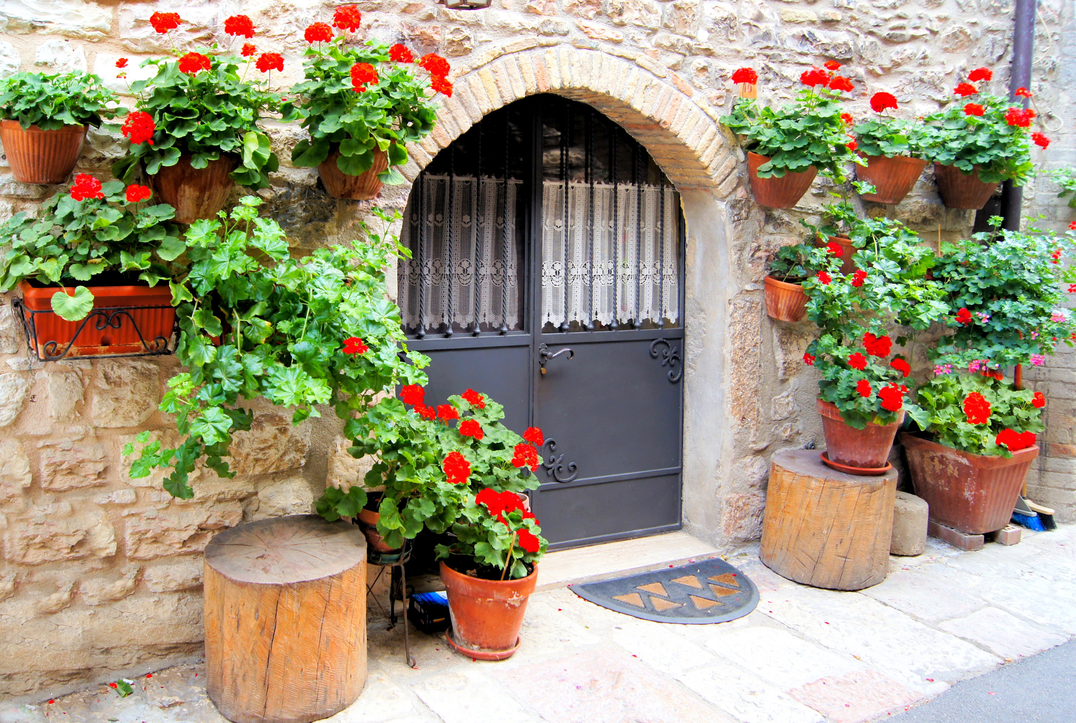 Stone wall with arched doorway and potted red geraniums HD Wallpaper