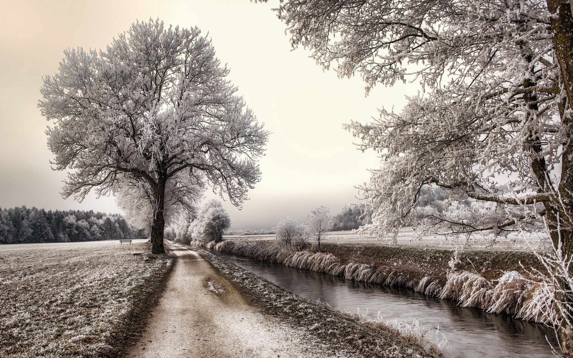 Winter landscape with frosted trees and a canal HD Wallpaper