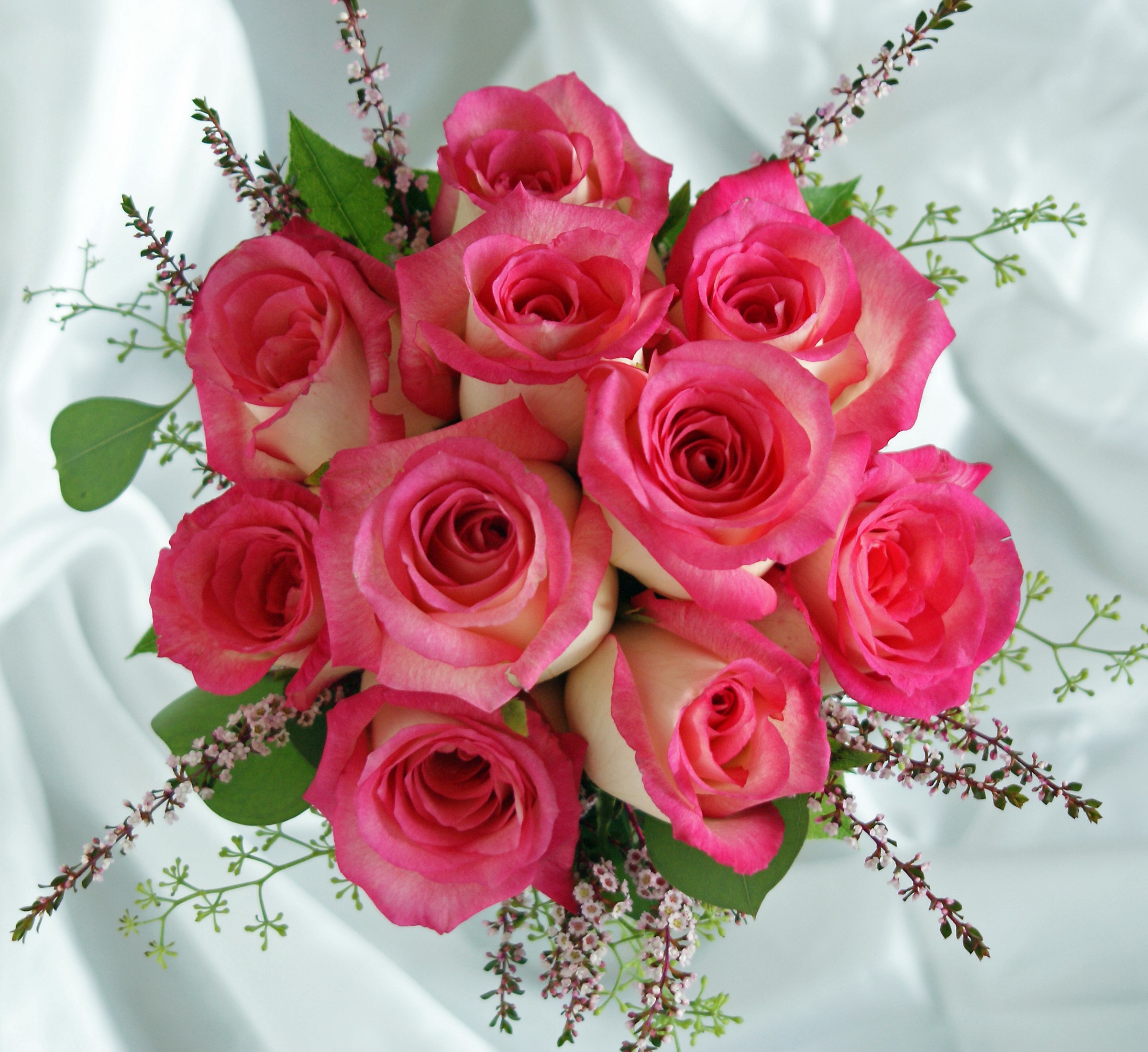 Bouquet of pink and white roses with greenery HD Wallpaper