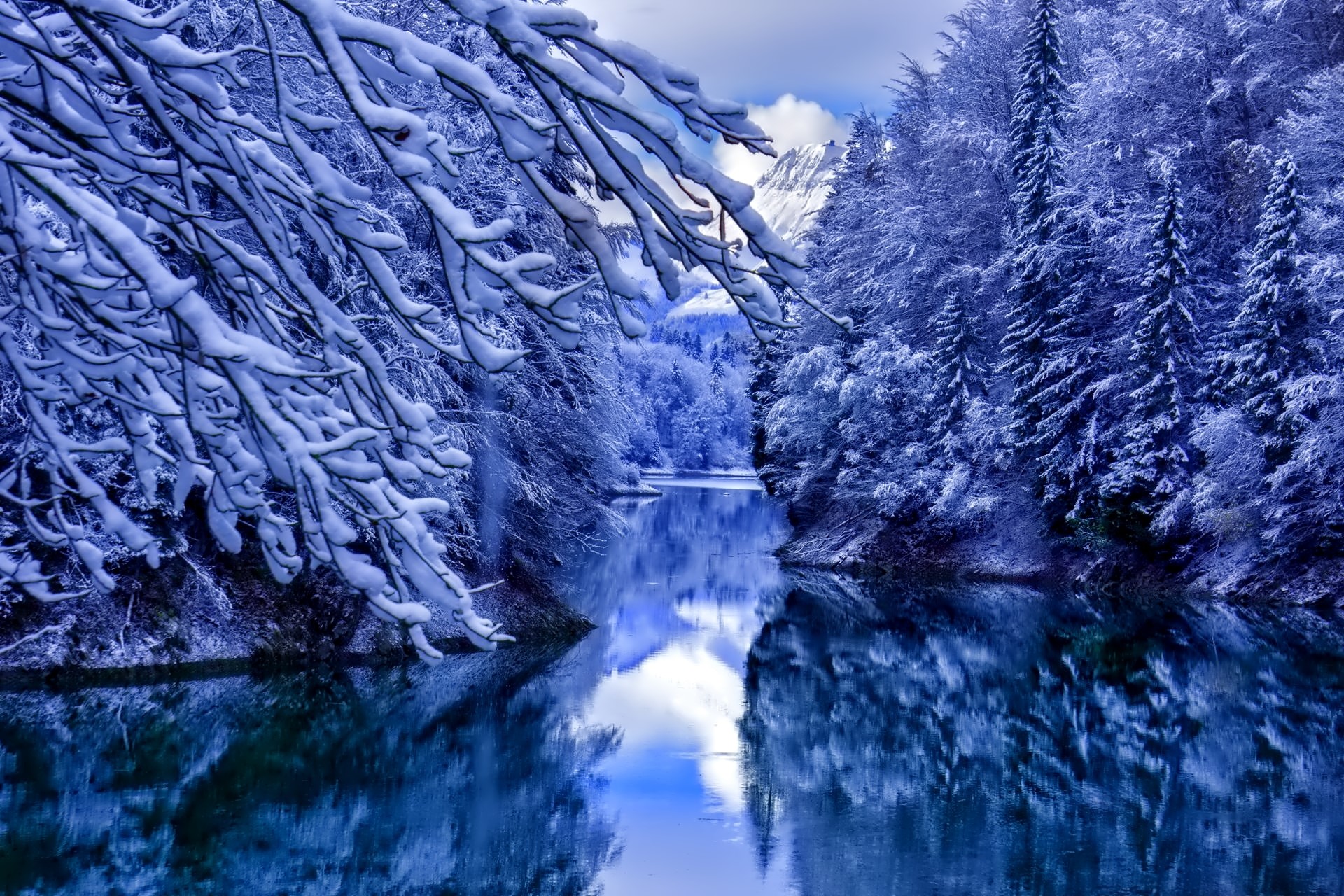 Snow-covered branches over a tranquil lake in winter HD Wallpaper