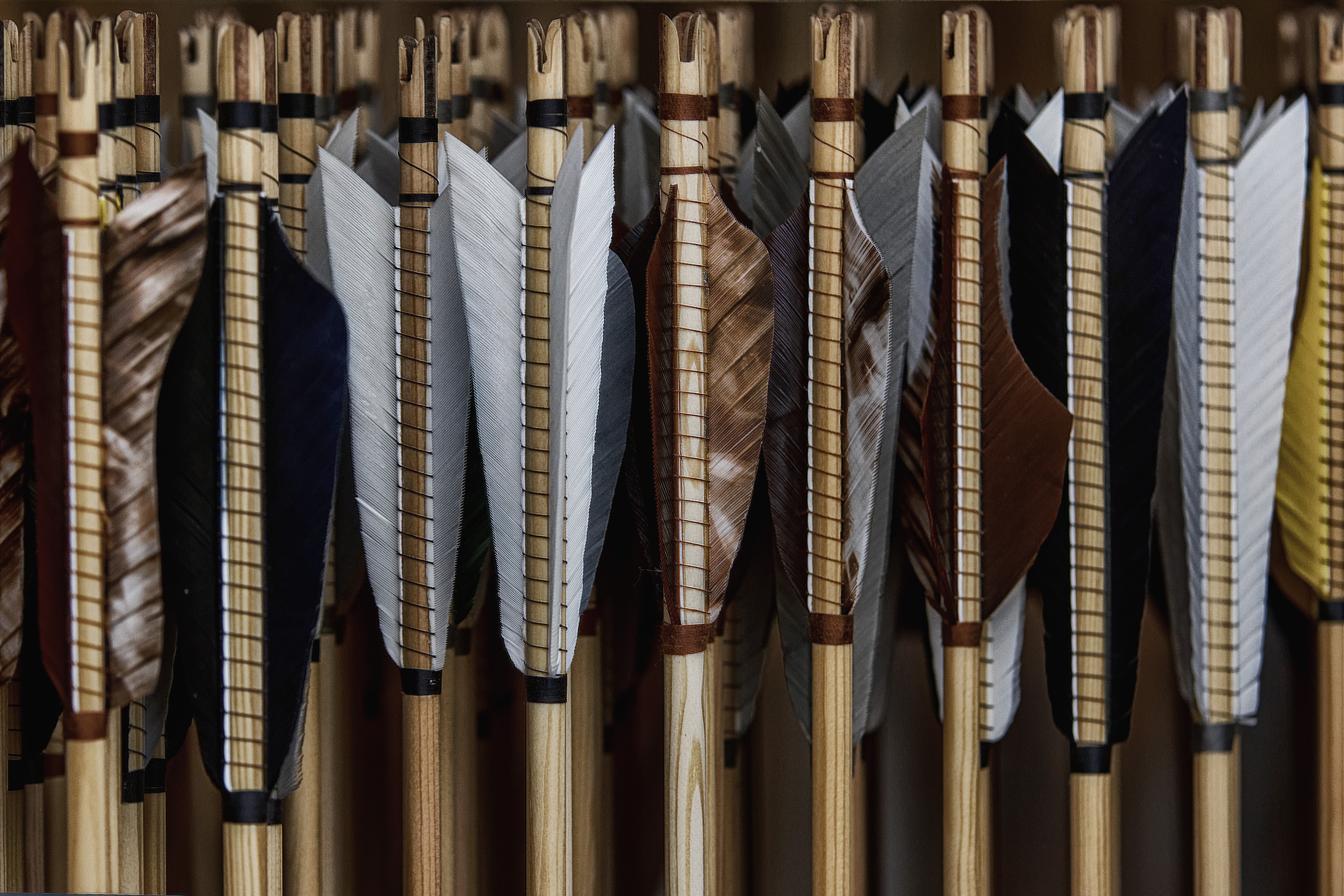 Wooden arrows with feathers HD Wallpaper