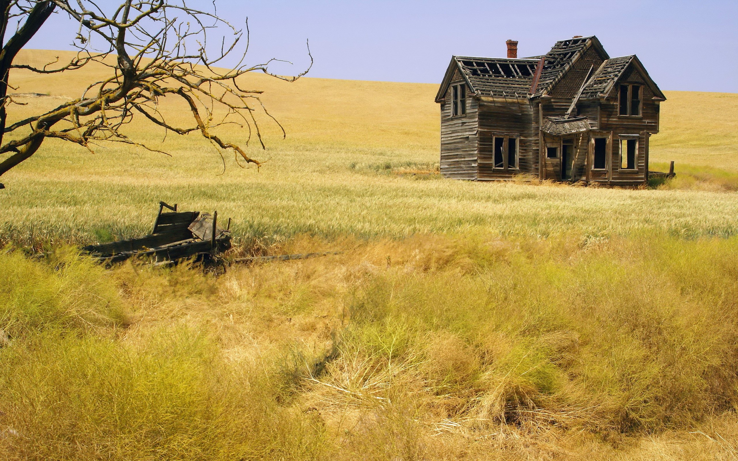 Abandoned wooden house in a wheat field HD Wallpaper