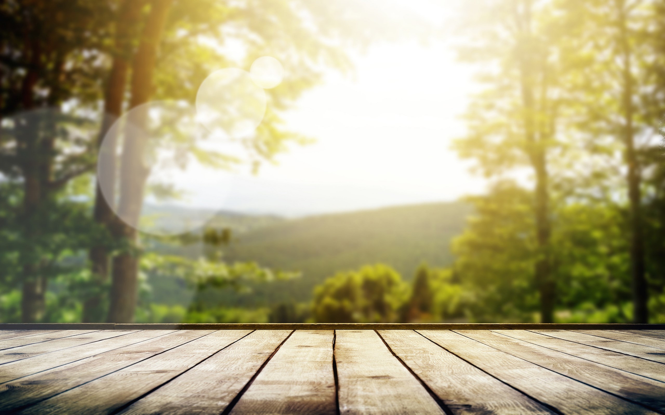 Wooden planks in a sunlit forest HD Wallpaper