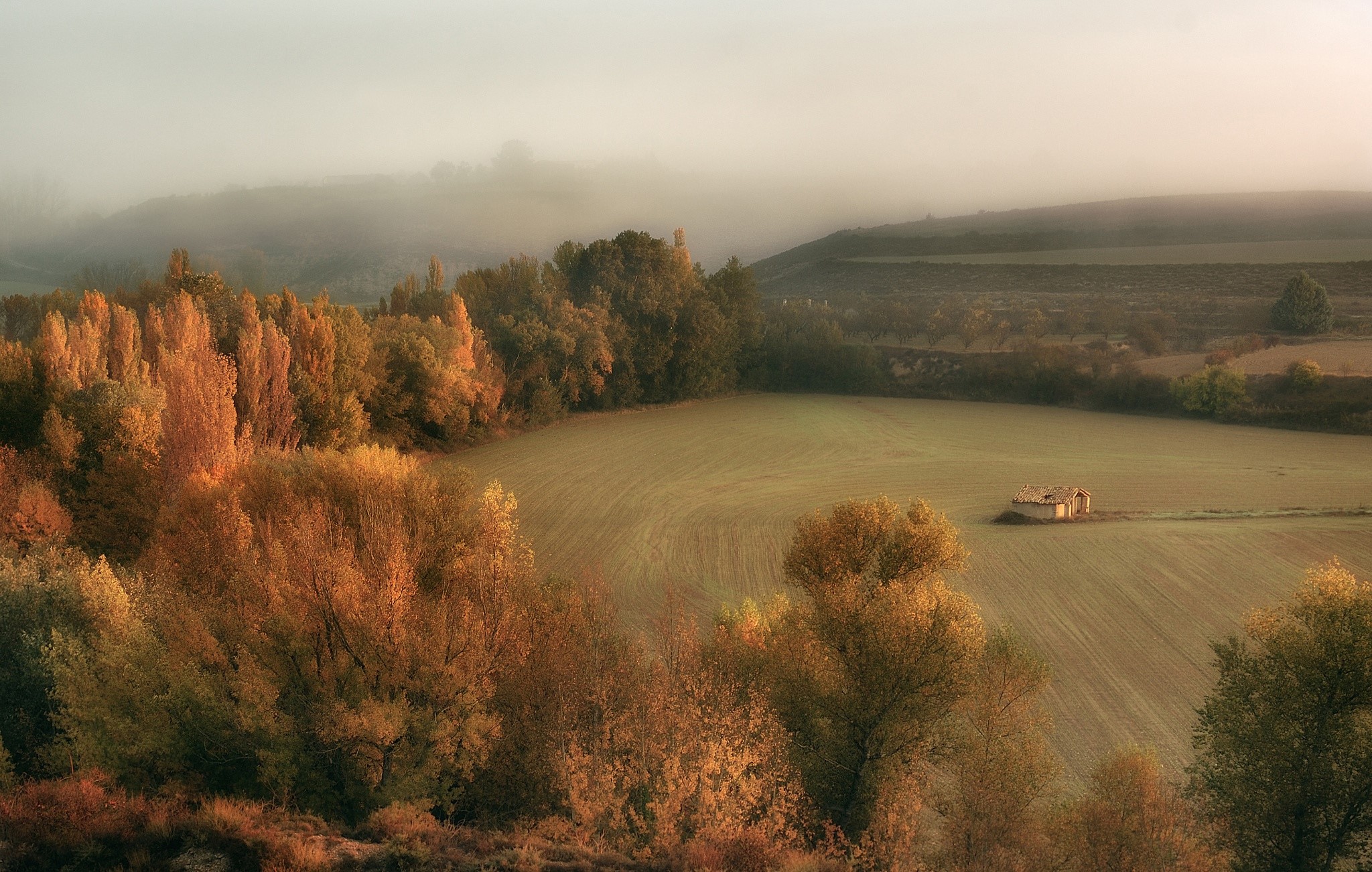 Autumn landscape with a small building in a field HD Wallpaper