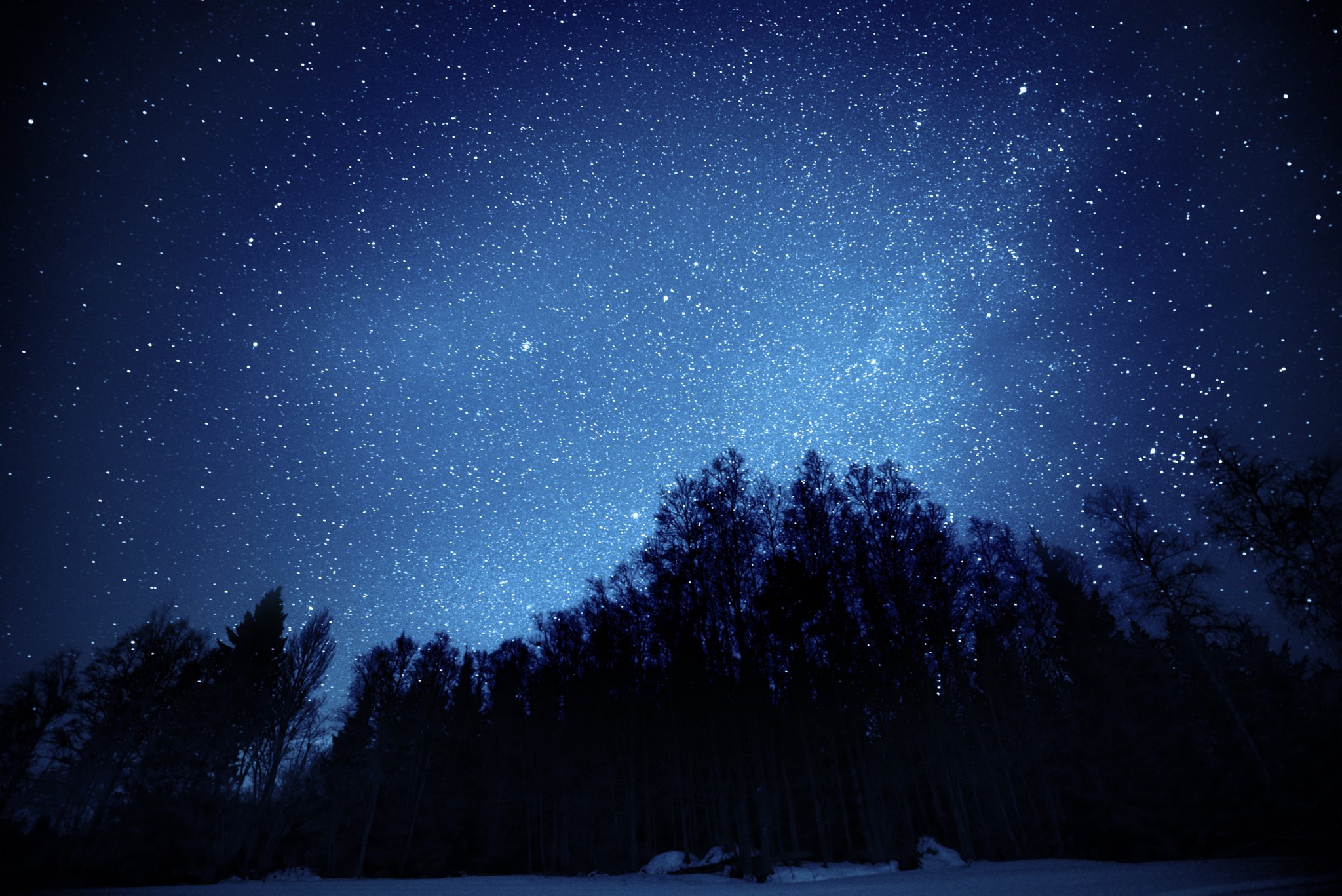 Starry night sky over a dark forest HD Wallpaper