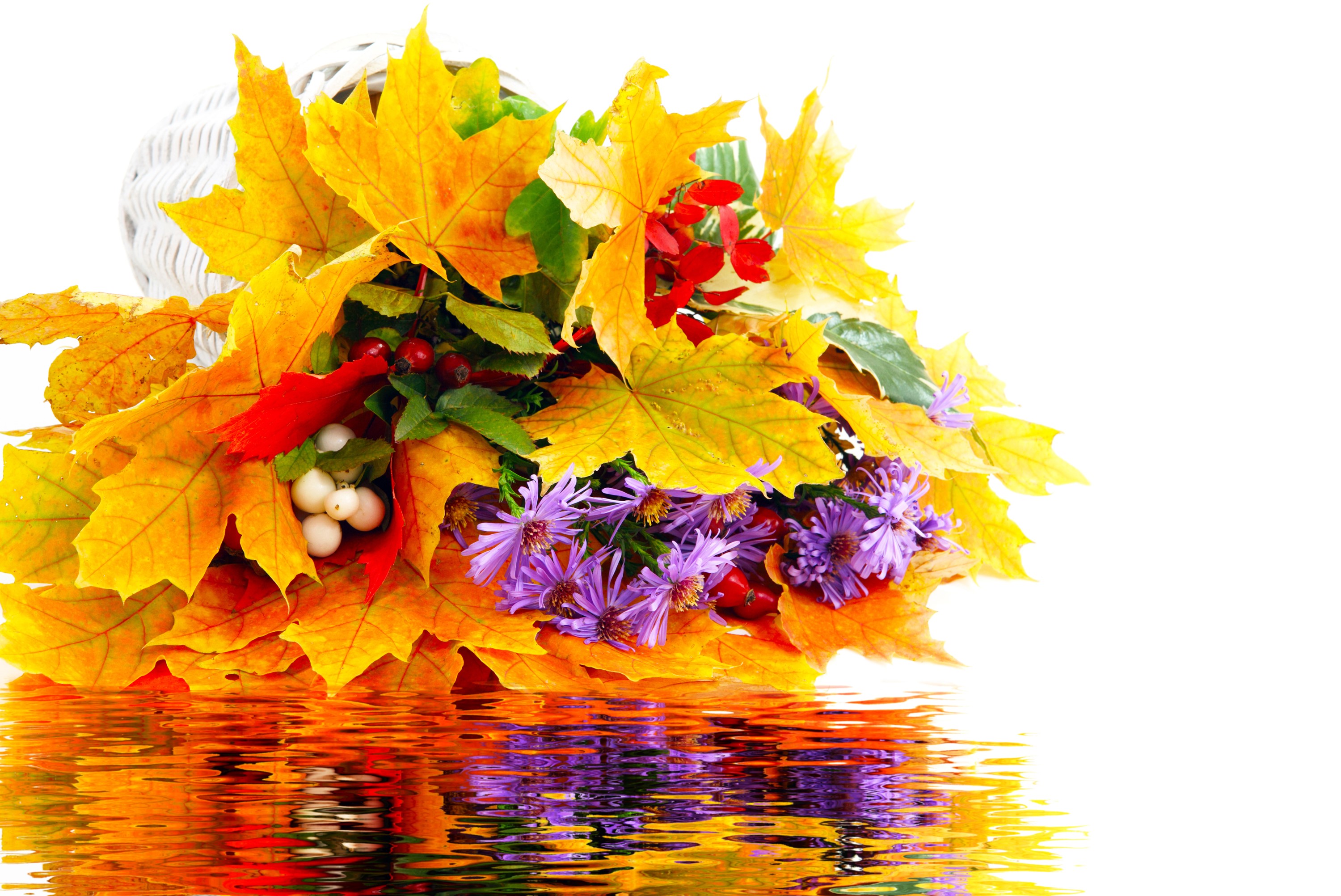 Autumn bouquet with maple leaves and berries in water reflection HD Wallpaper
