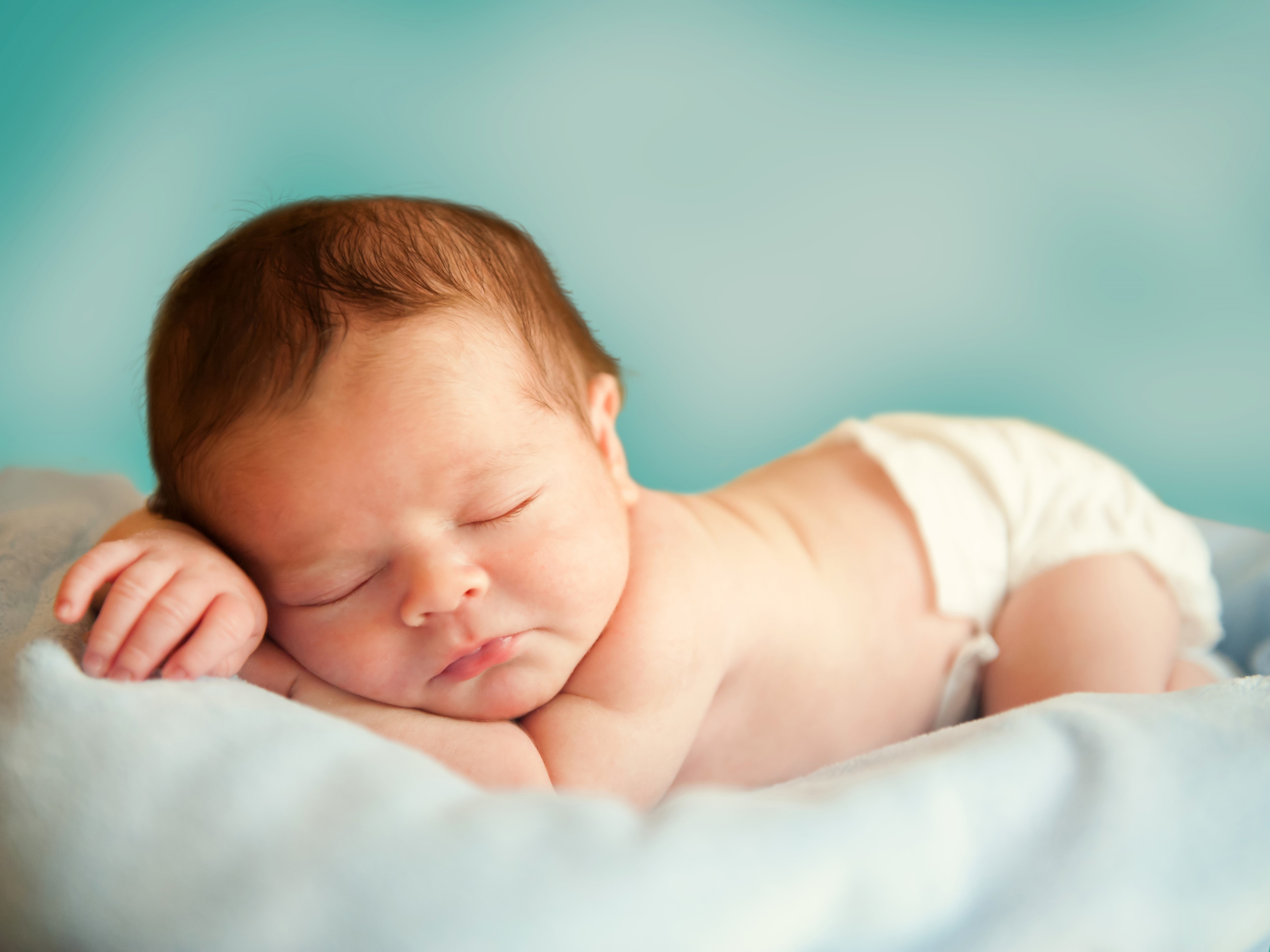 Newborn baby sleeping on a blue blanket HD Wallpaper