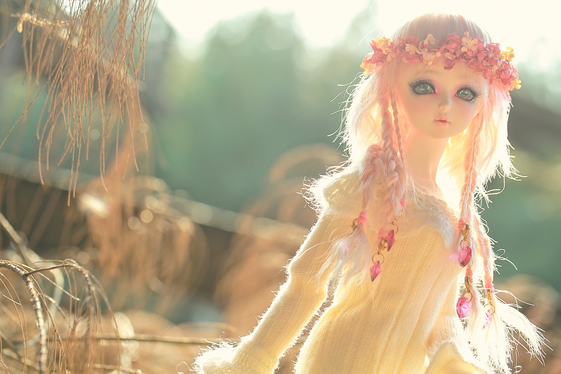 Doll with braided hair and flower crown HD Wallpaper