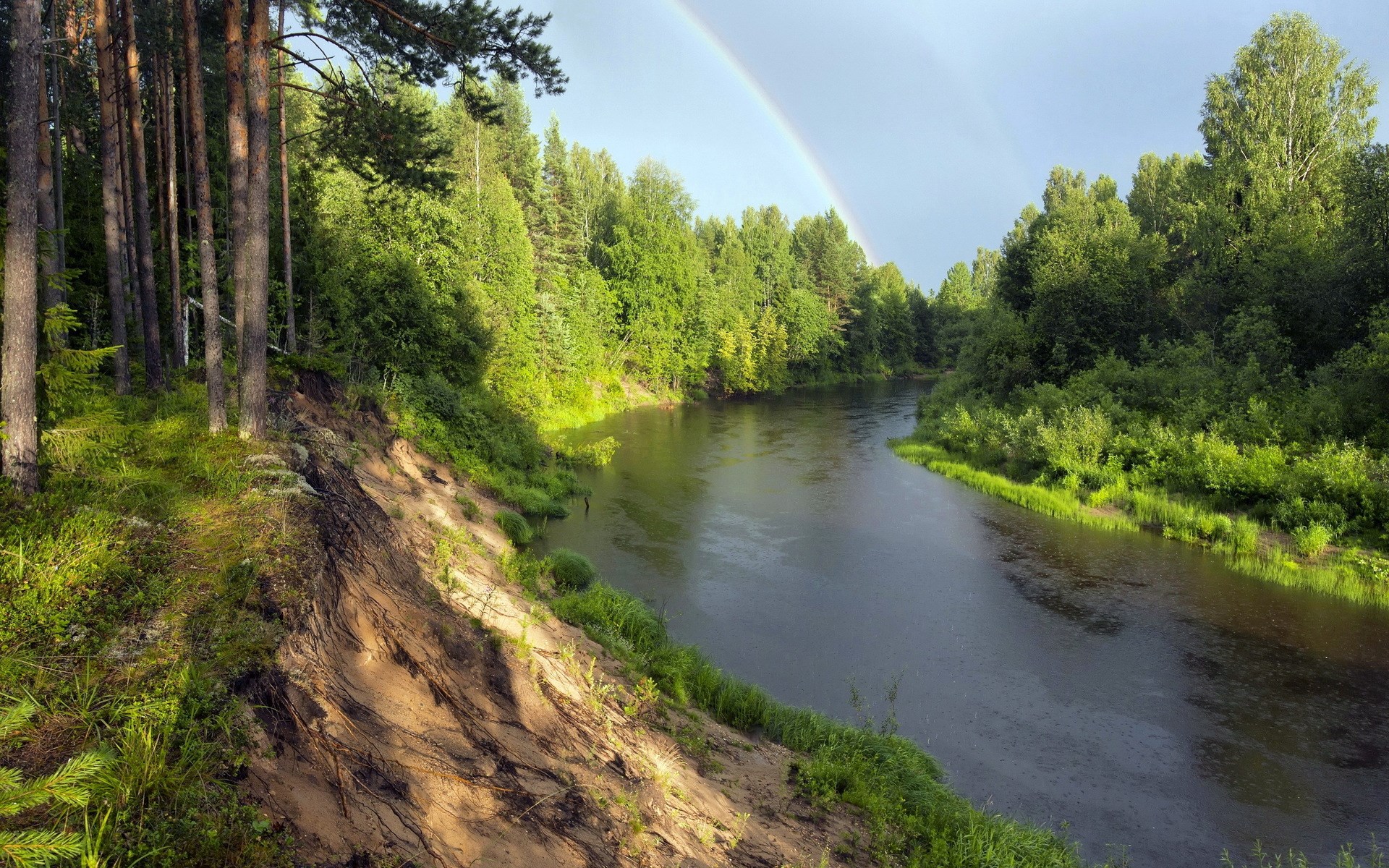 River flowing through a forest with a rainbow HD Wallpaper