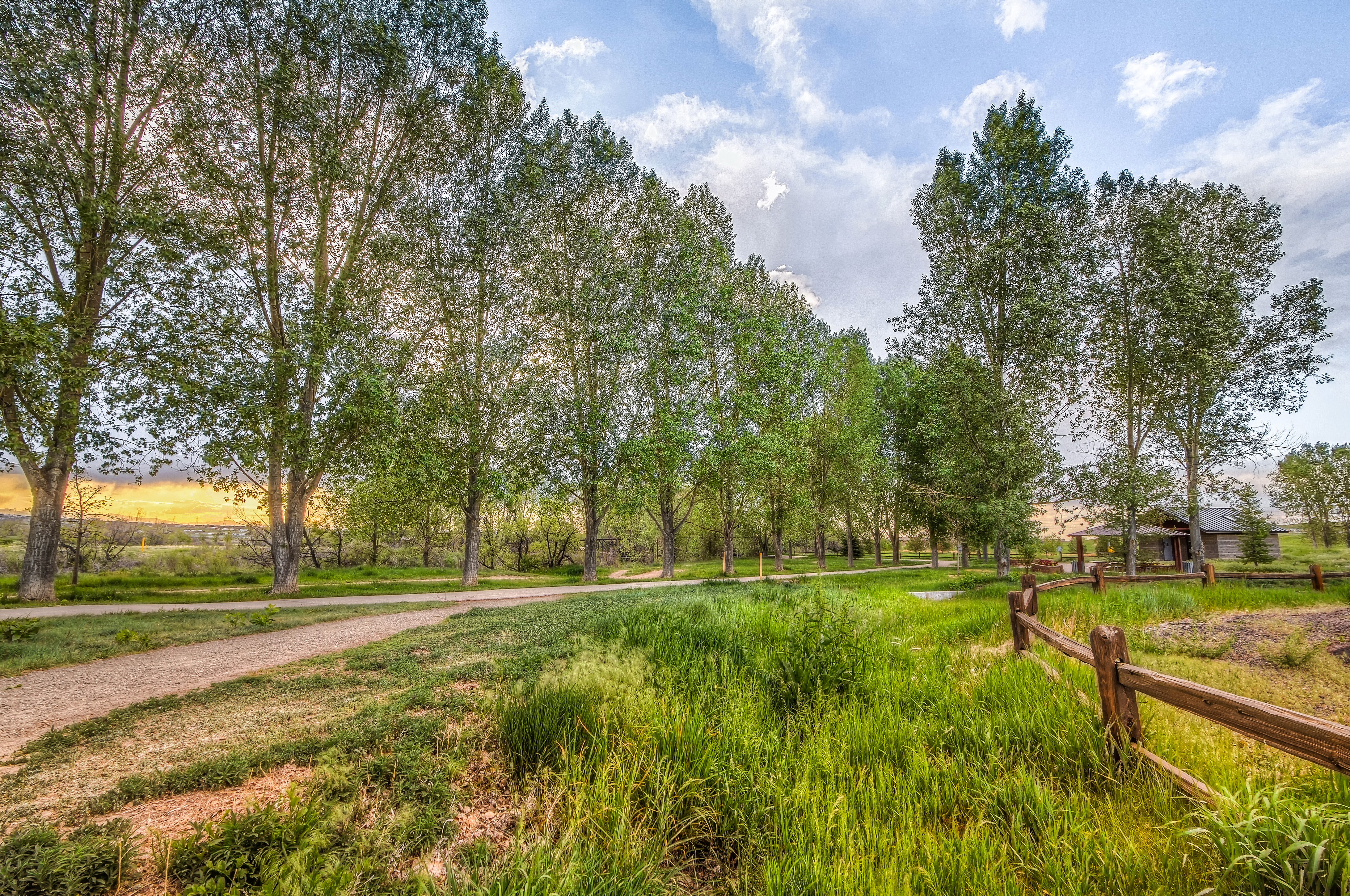Road through a tree-lined park with a house HD Wallpaper