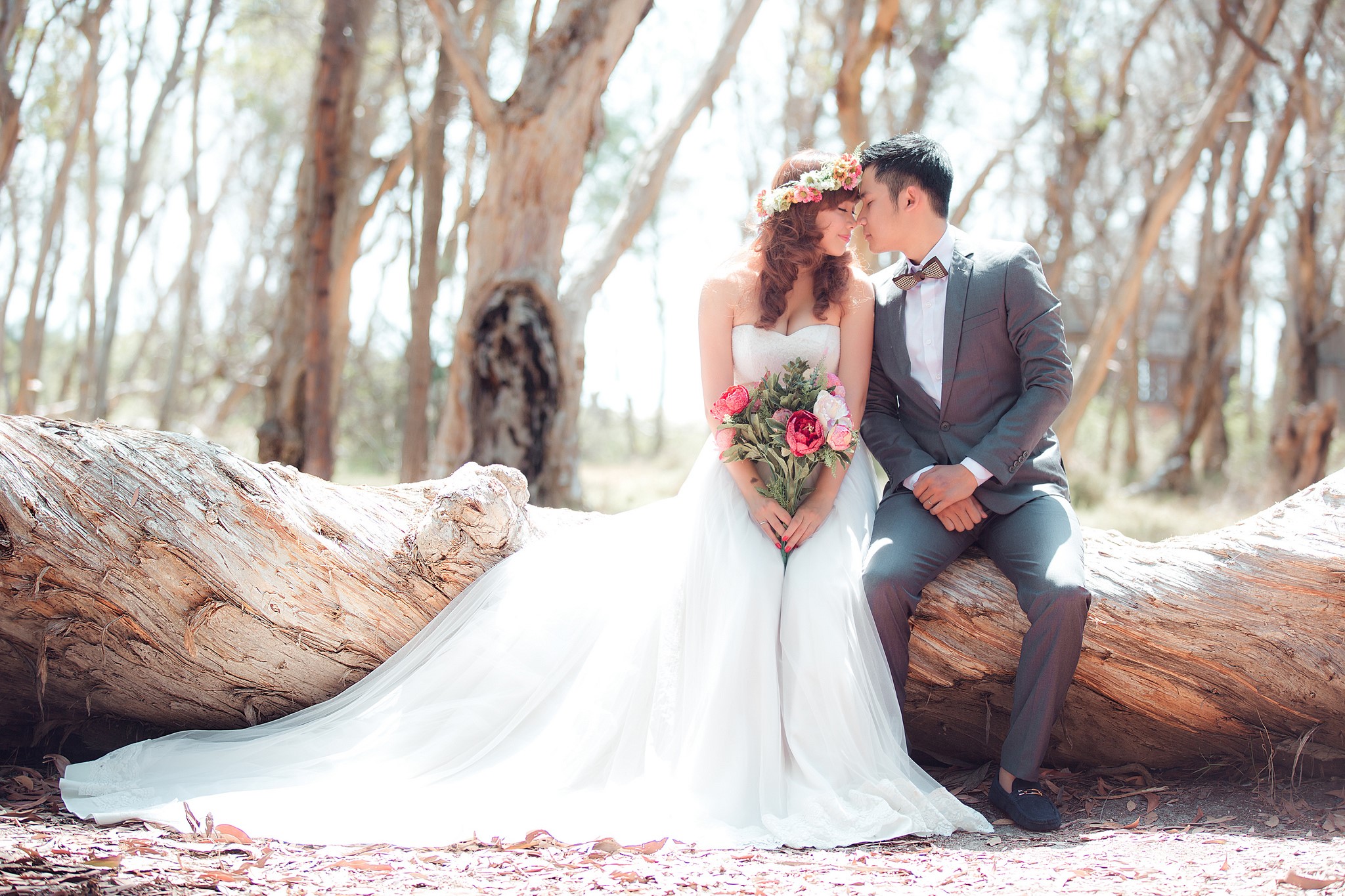 Bride and Groom sitting on a log HD Wallpaper