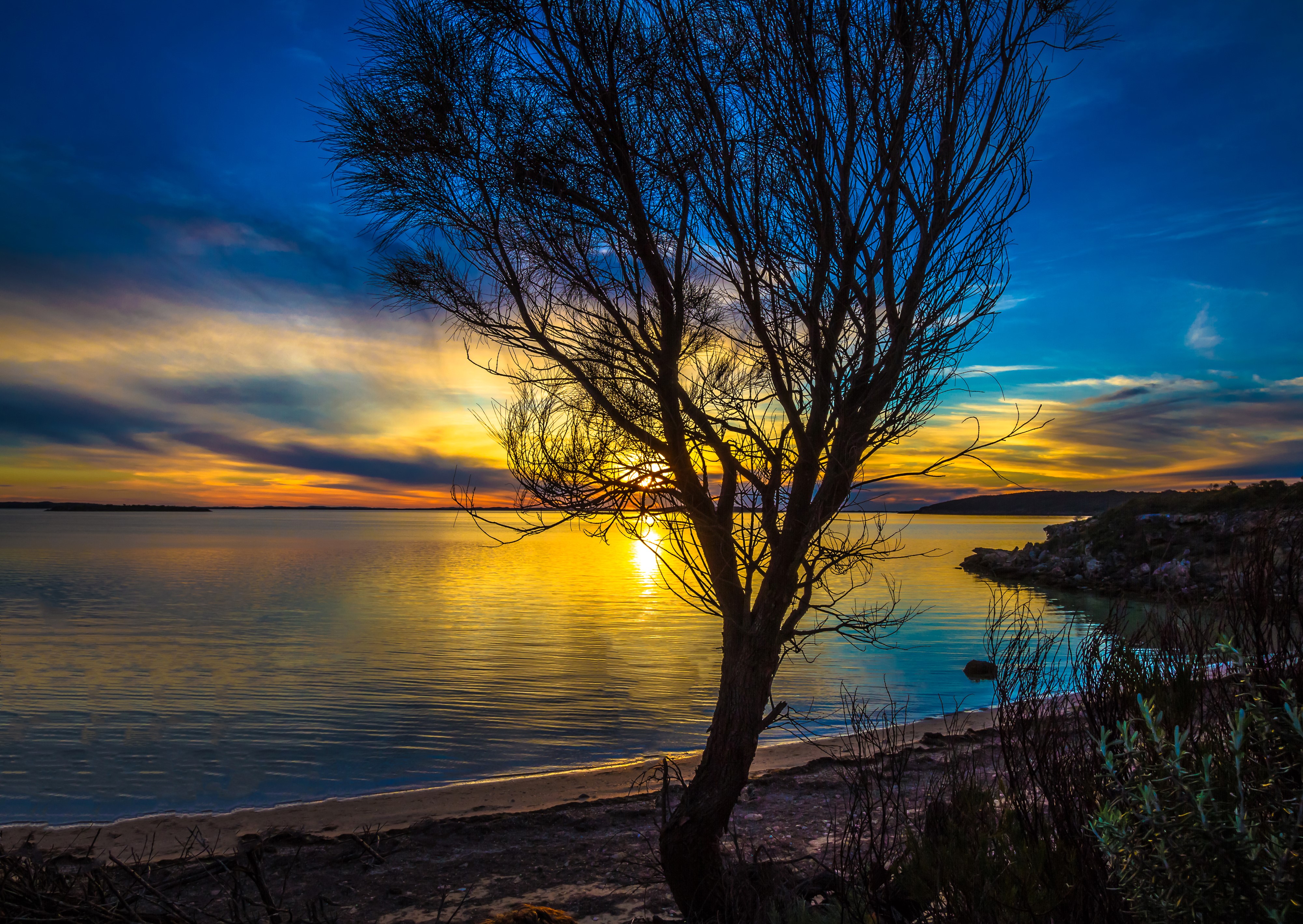 Sunset over the ocean with a silhouetted tree in Port Lincoln, Australia HD Wallpaper