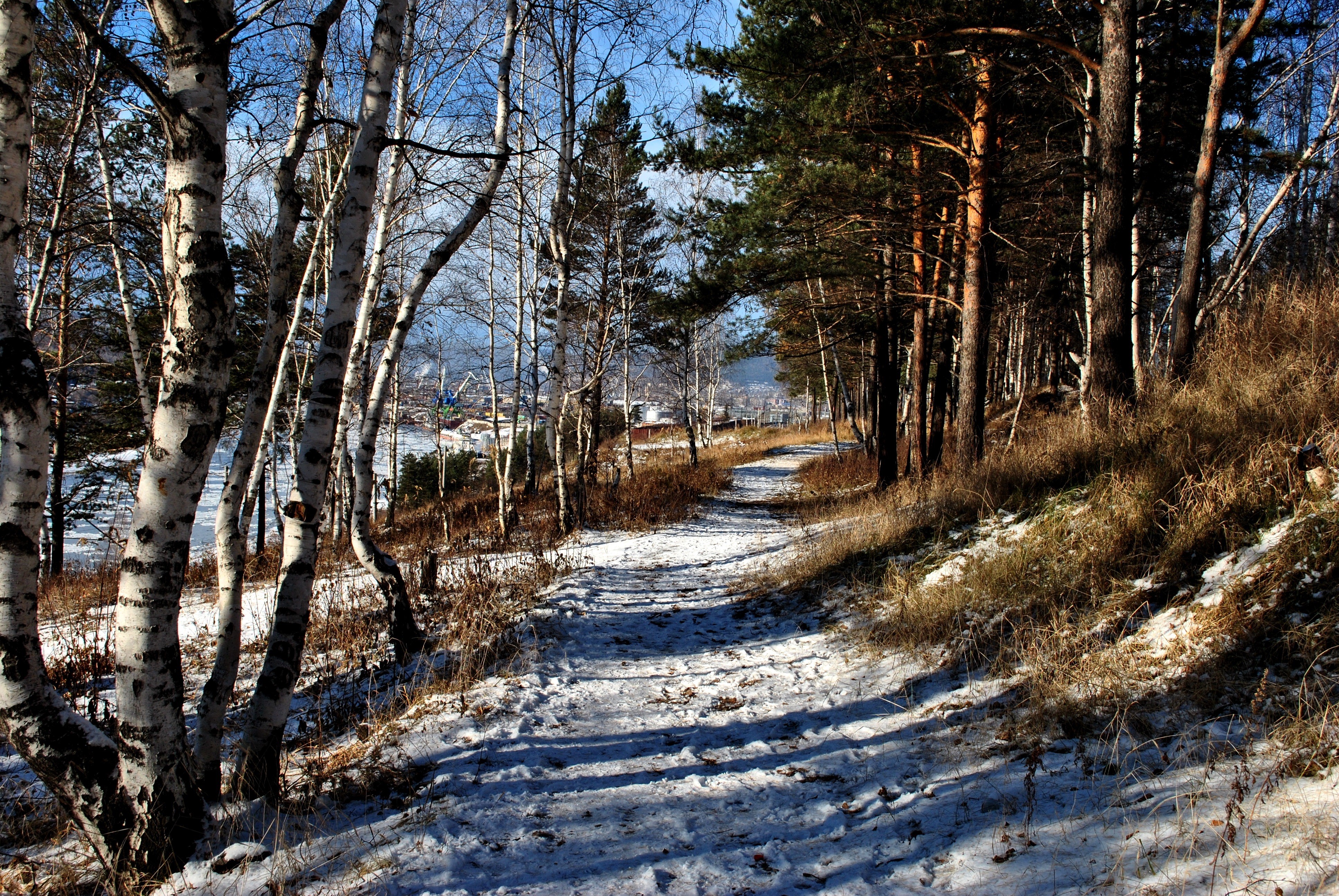 Winter forest path in Irkutsk Oblast Ust-Kut, Russia HD Wallpaper
