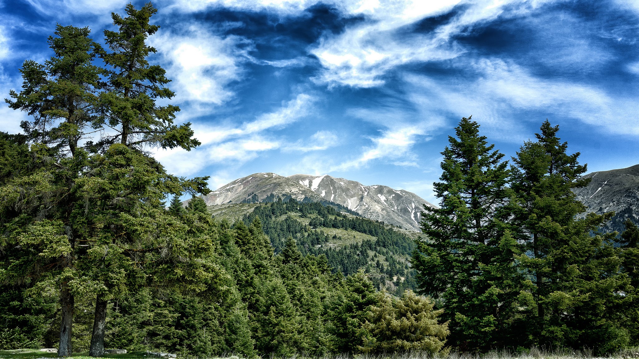 Mountain landscape with pine trees and cloudy sky HD Wallpaper