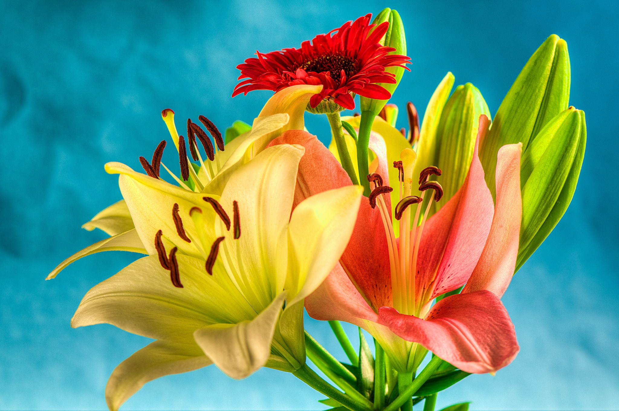 Bouquet of lilies and a red gerbera daisy HD Wallpaper