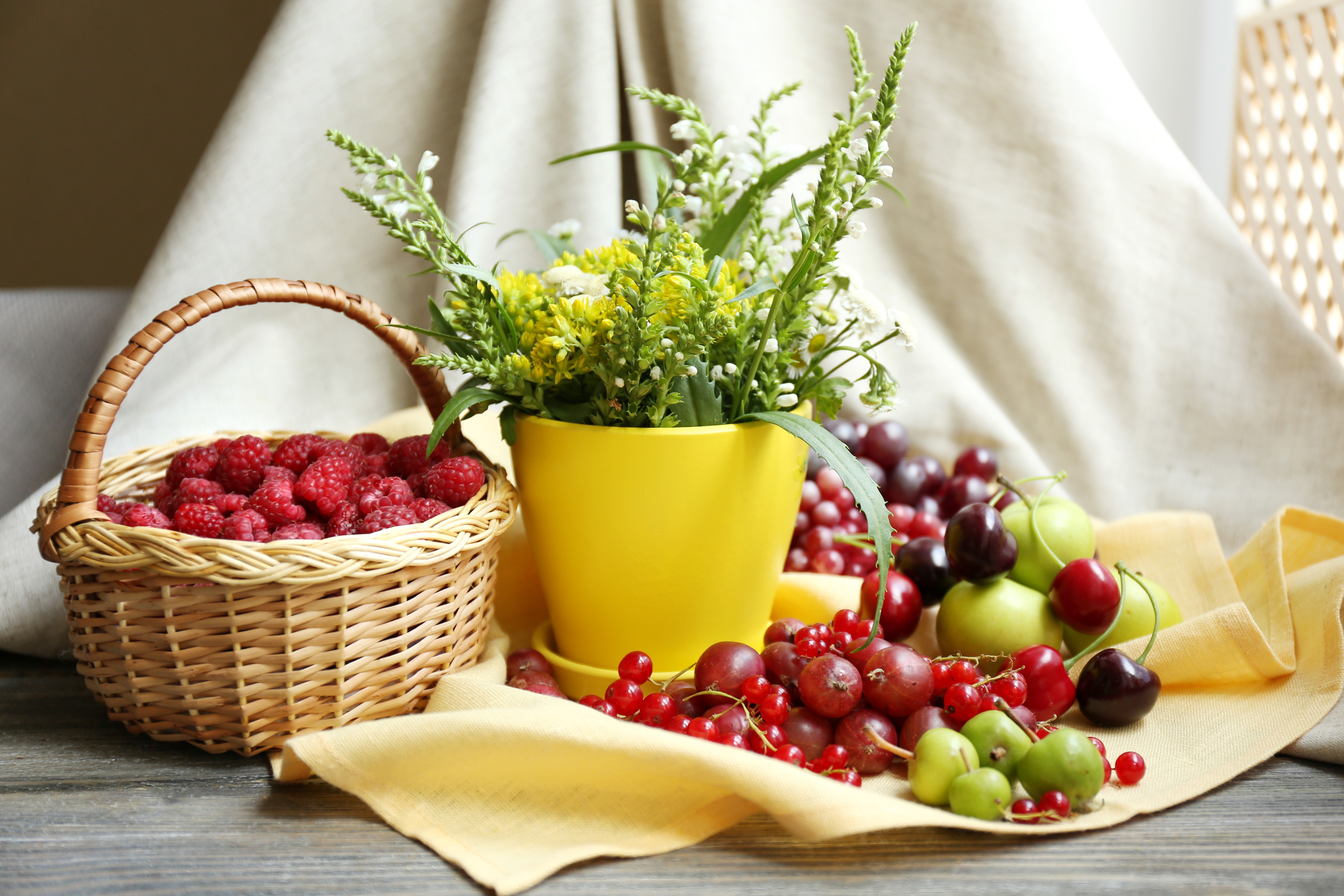 Still-life with raspberries, currants, cherries, and flowers HD Wallpaper
