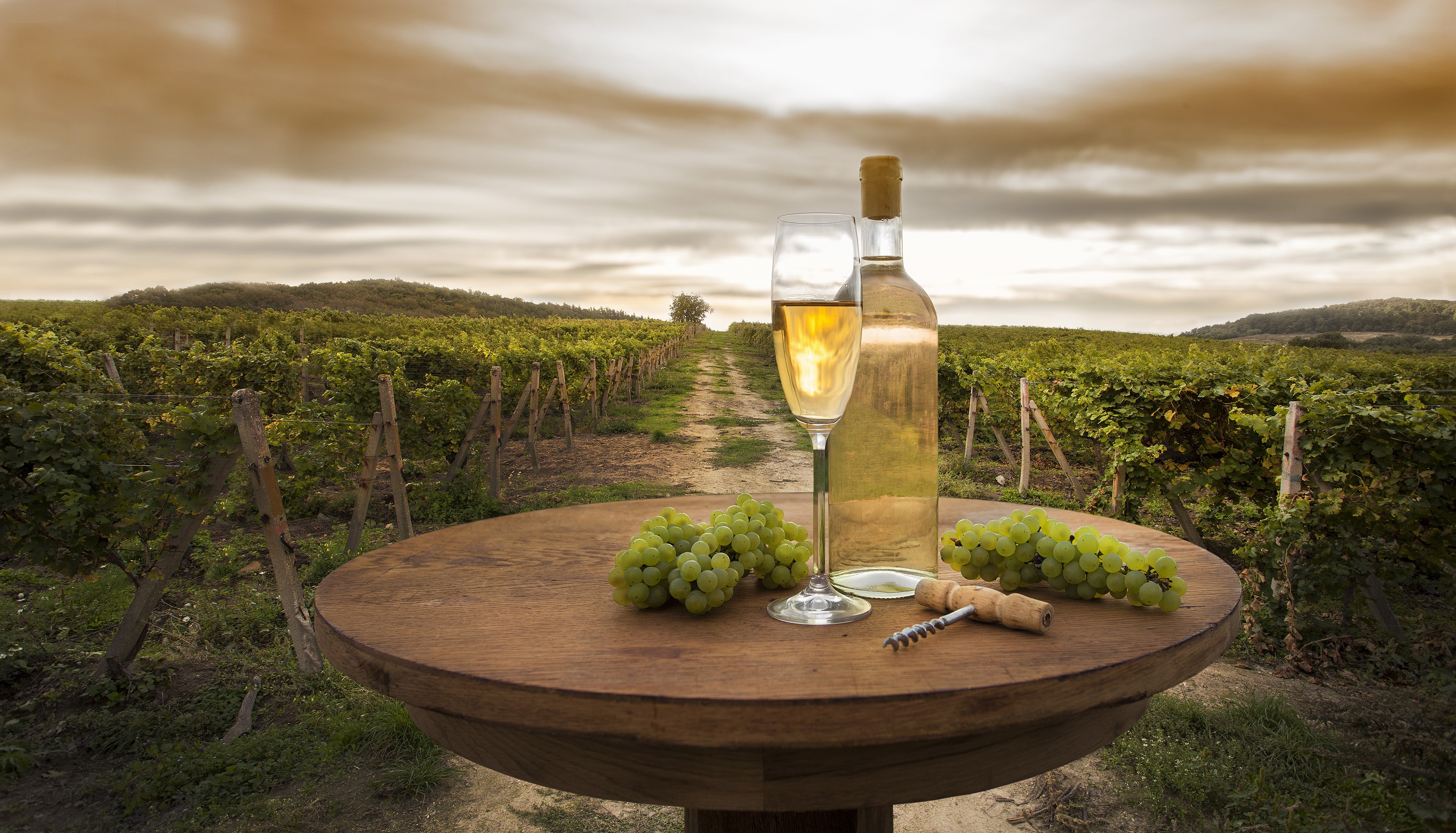 Wine bottle and glass in vineyard HD Wallpaper
