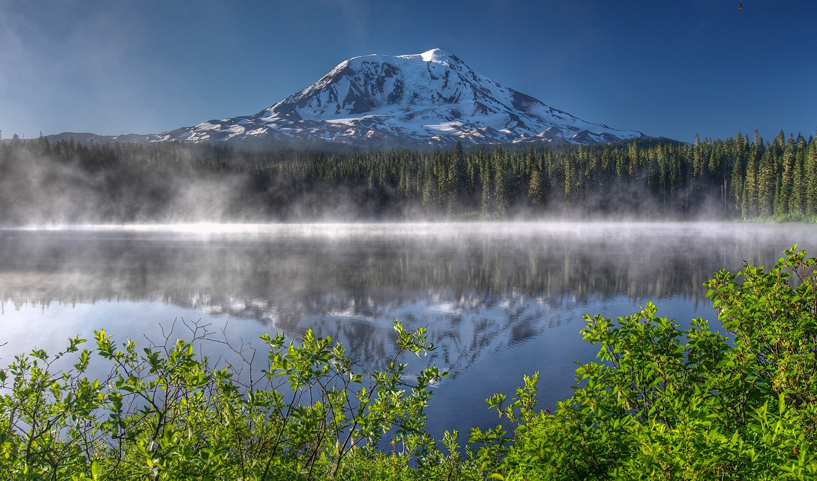 Mount Adams reflected in a misty lake with evergreen trees HD Wallpaper