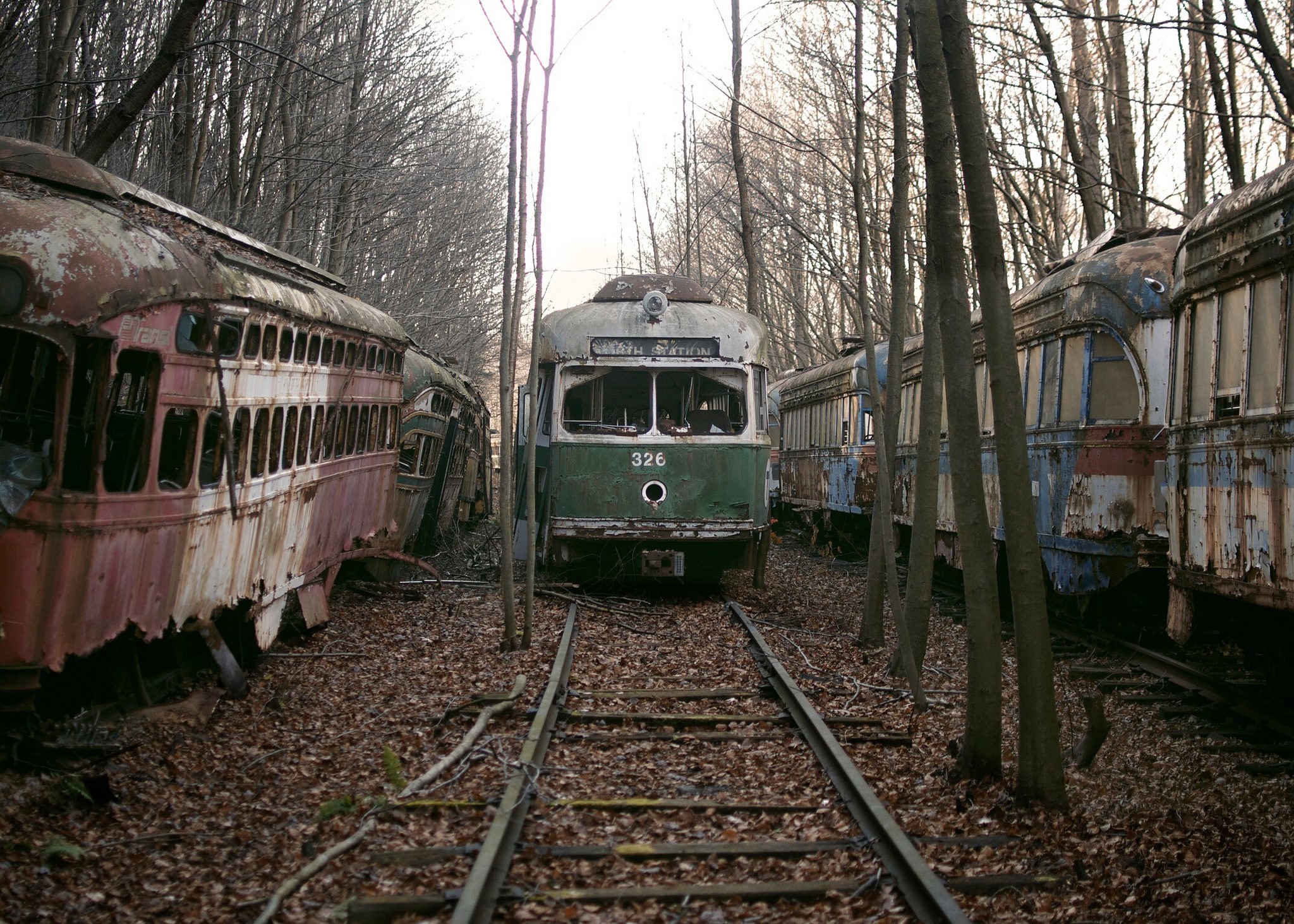 Abandoned trolleys in a forest HD Wallpaper
