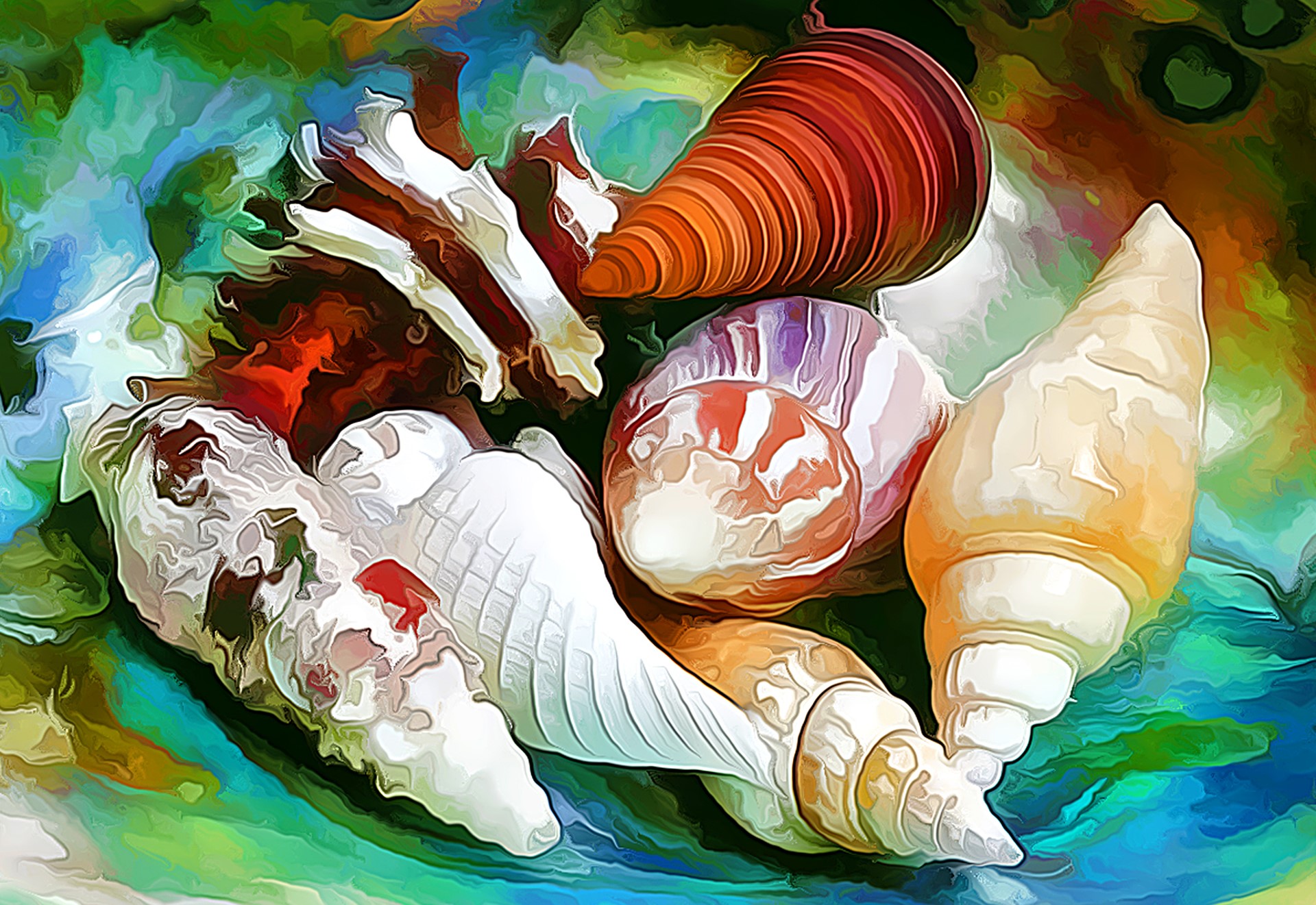 A collection of colorful seashells HD Wallpaper
