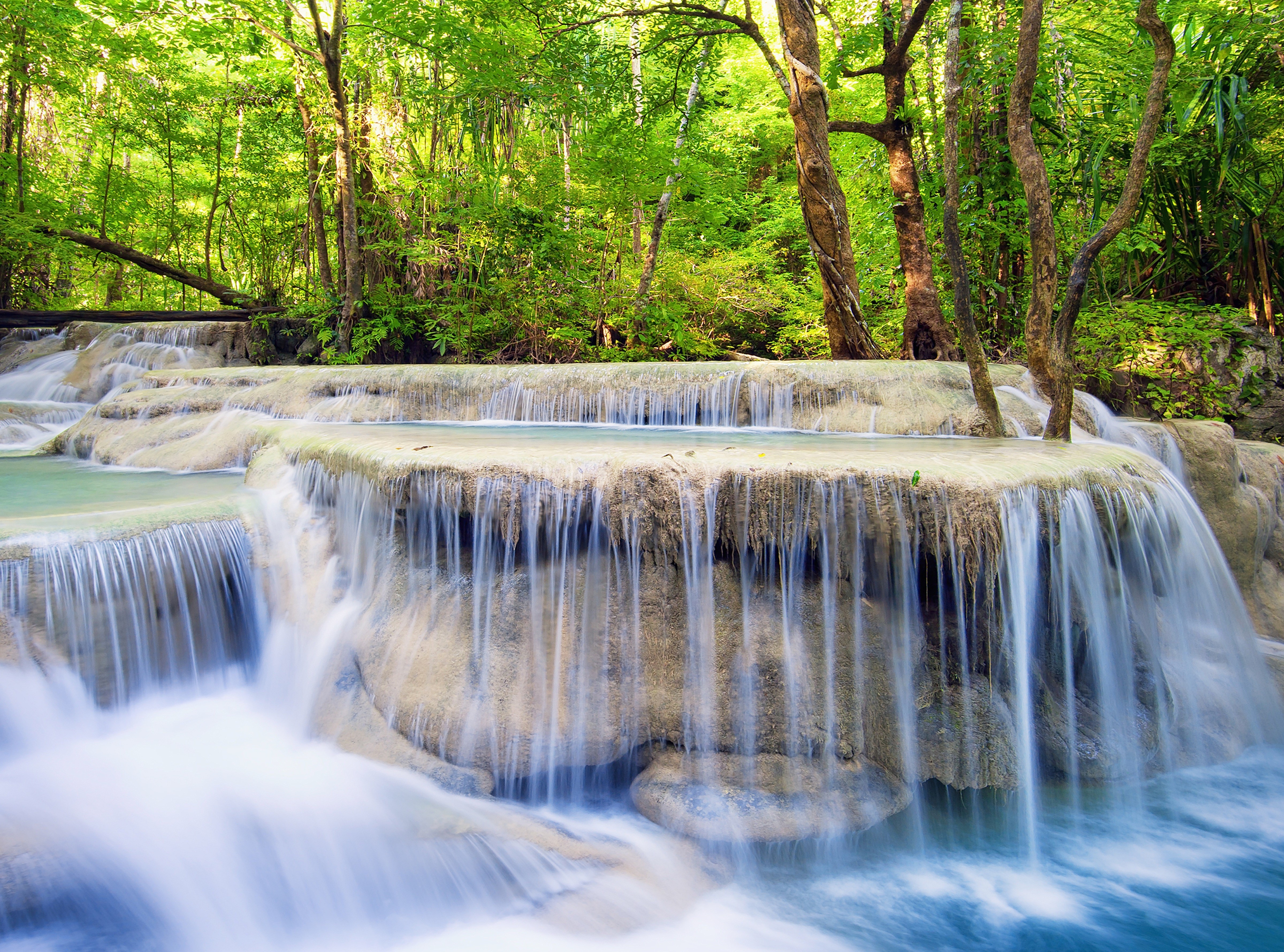 Waterfalls in a Lush Green Forest HD Wallpaper