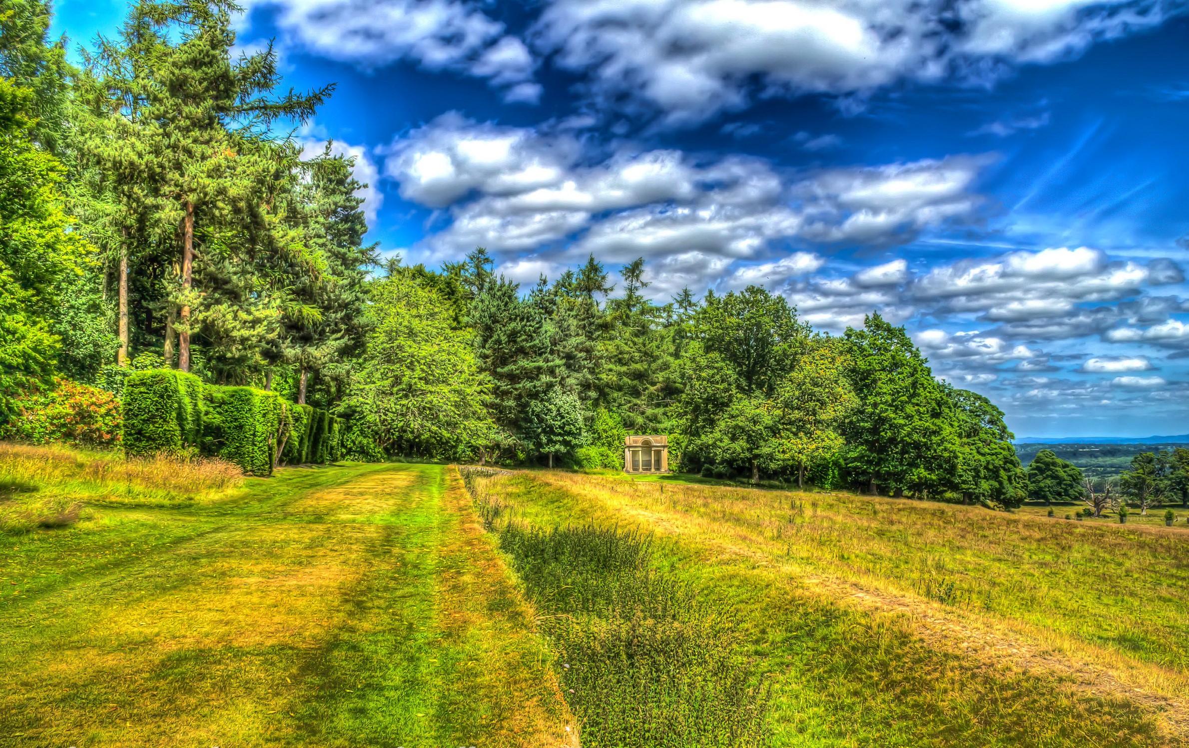 Park landscape with trees, grass, and clouds in the UK HD Wallpaper