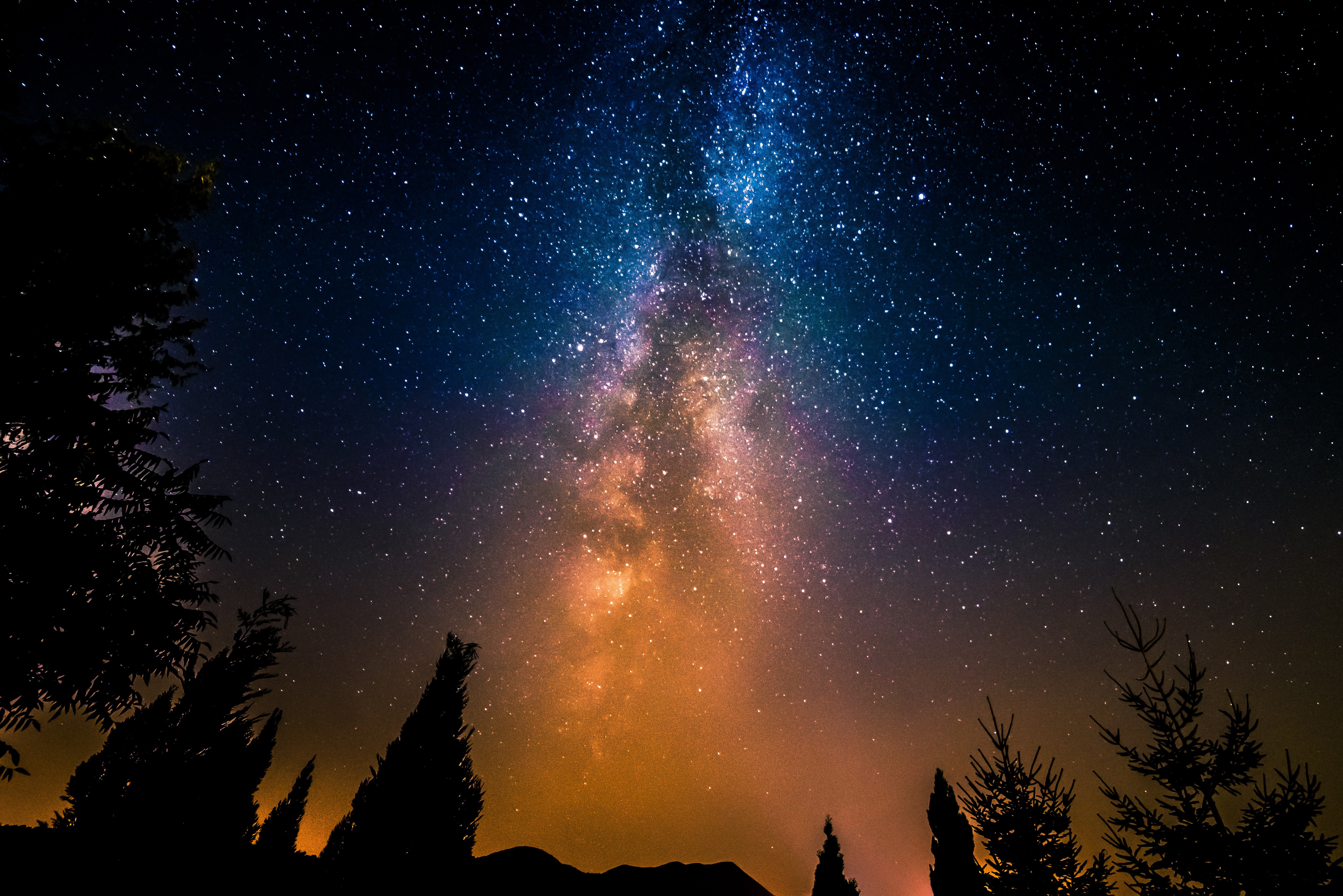 Milky Way galaxy over silhouetted trees HD Wallpaper