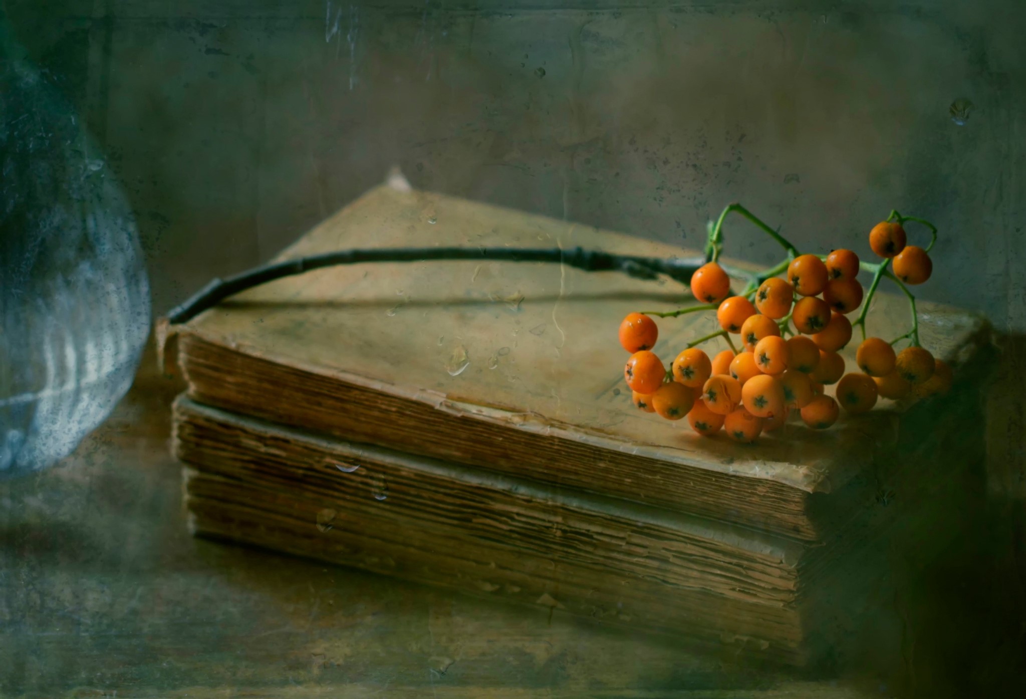Old books with rowan berries and a branch HD Wallpaper