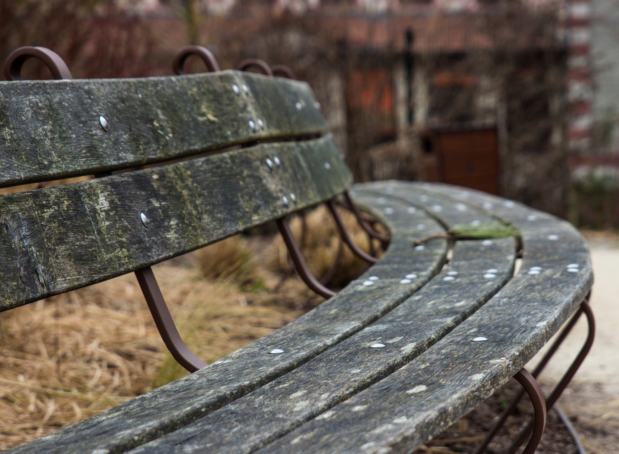 Curved wooden park bench with metal frame HD Wallpaper