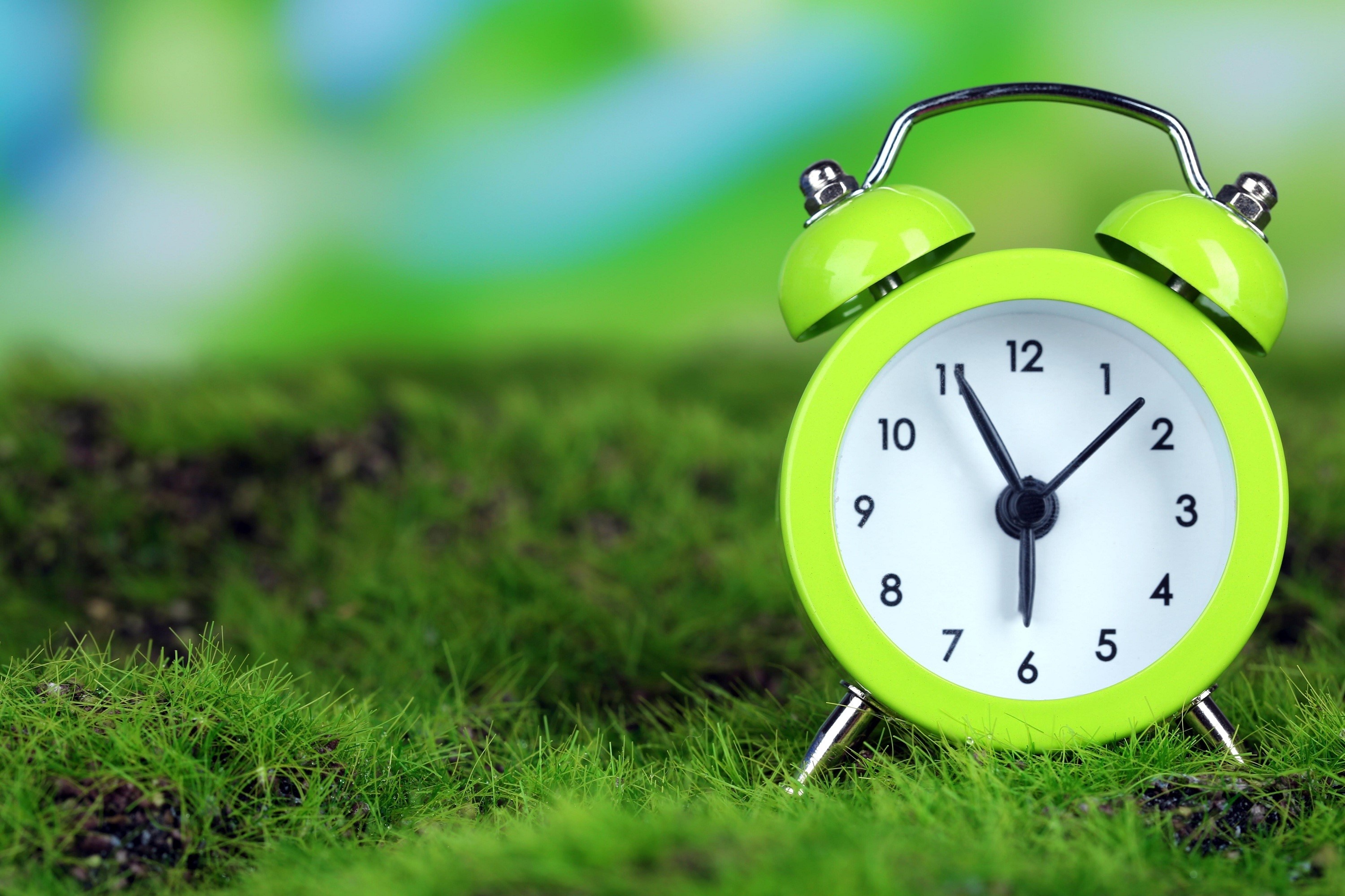 Green alarm clock on grass HD Wallpaper