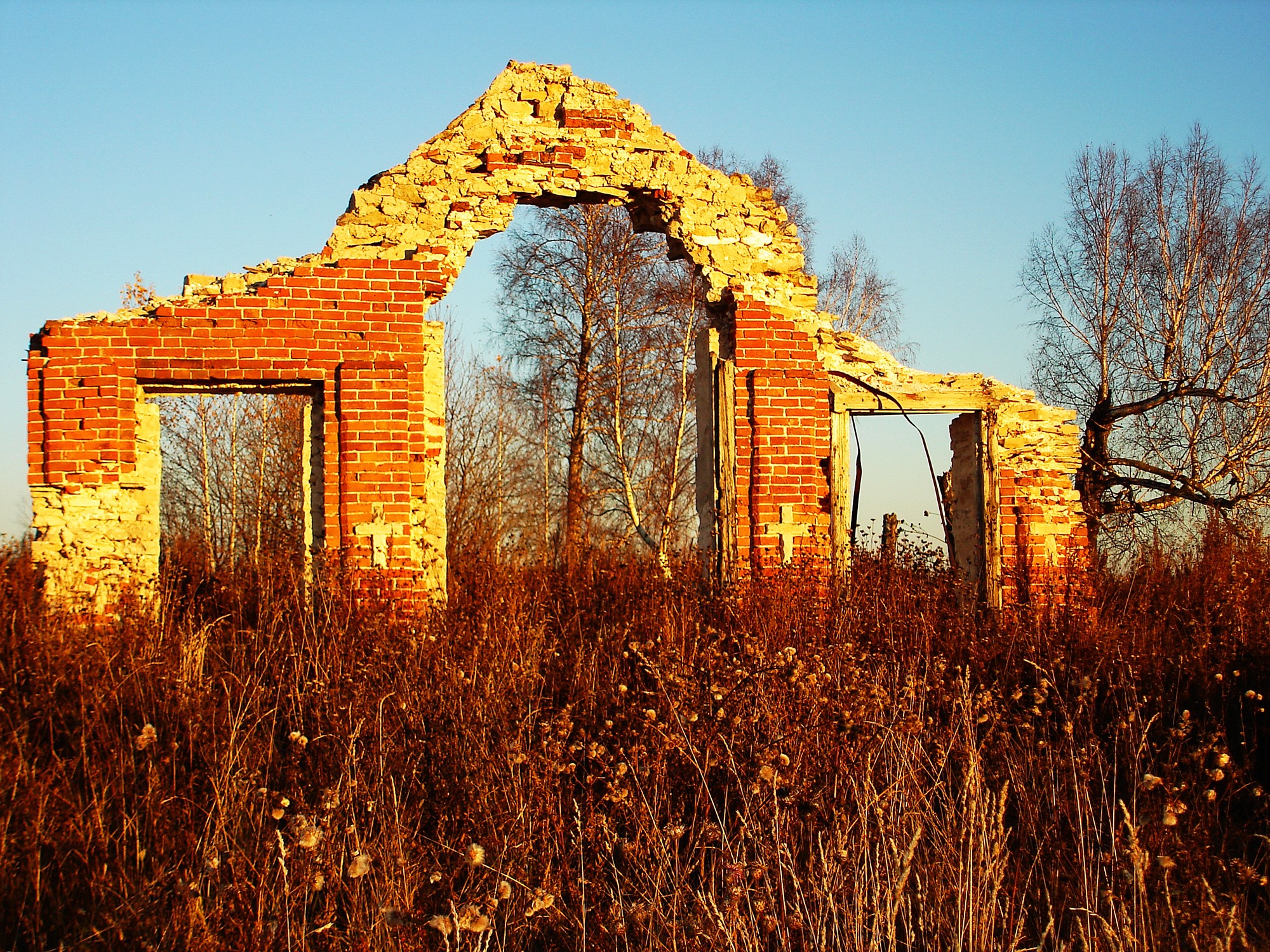 Ruins of a brick building in tall grass HD Wallpaper