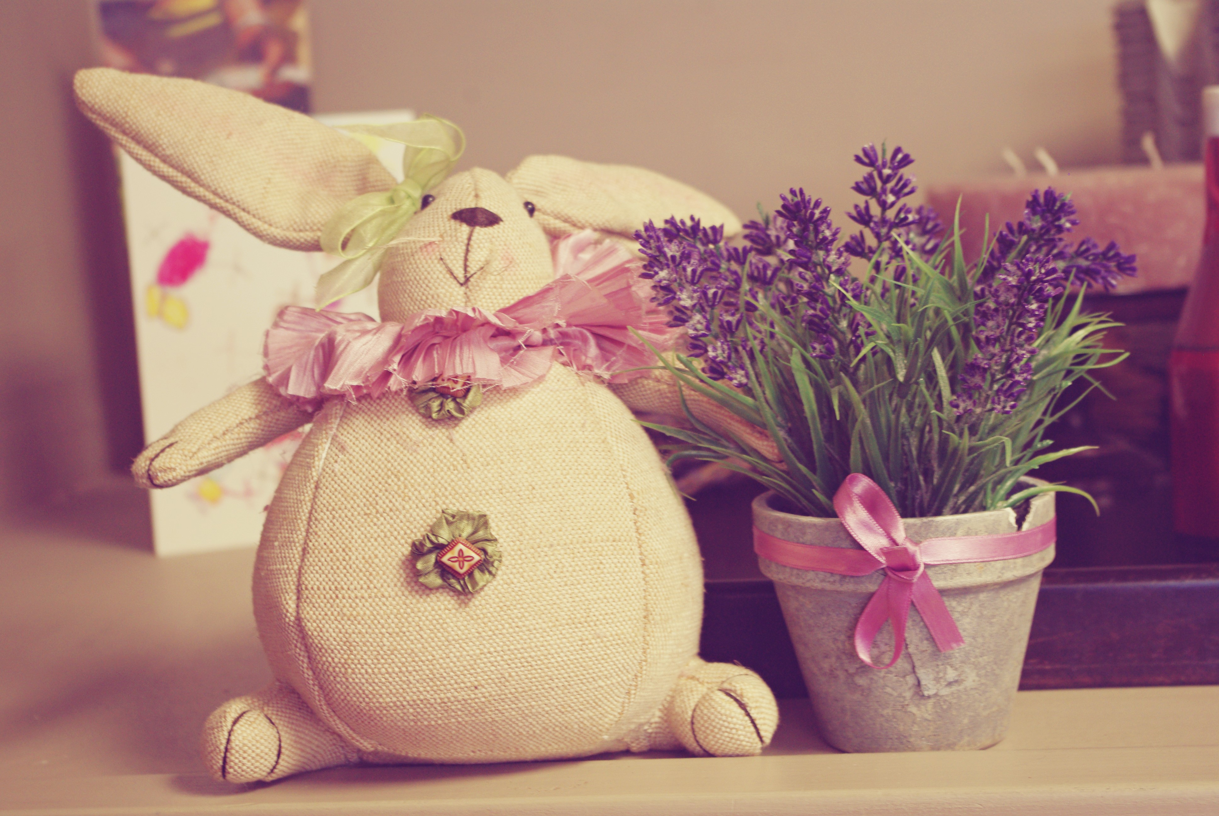 Stuffed bunny with lavender plant HD Wallpaper