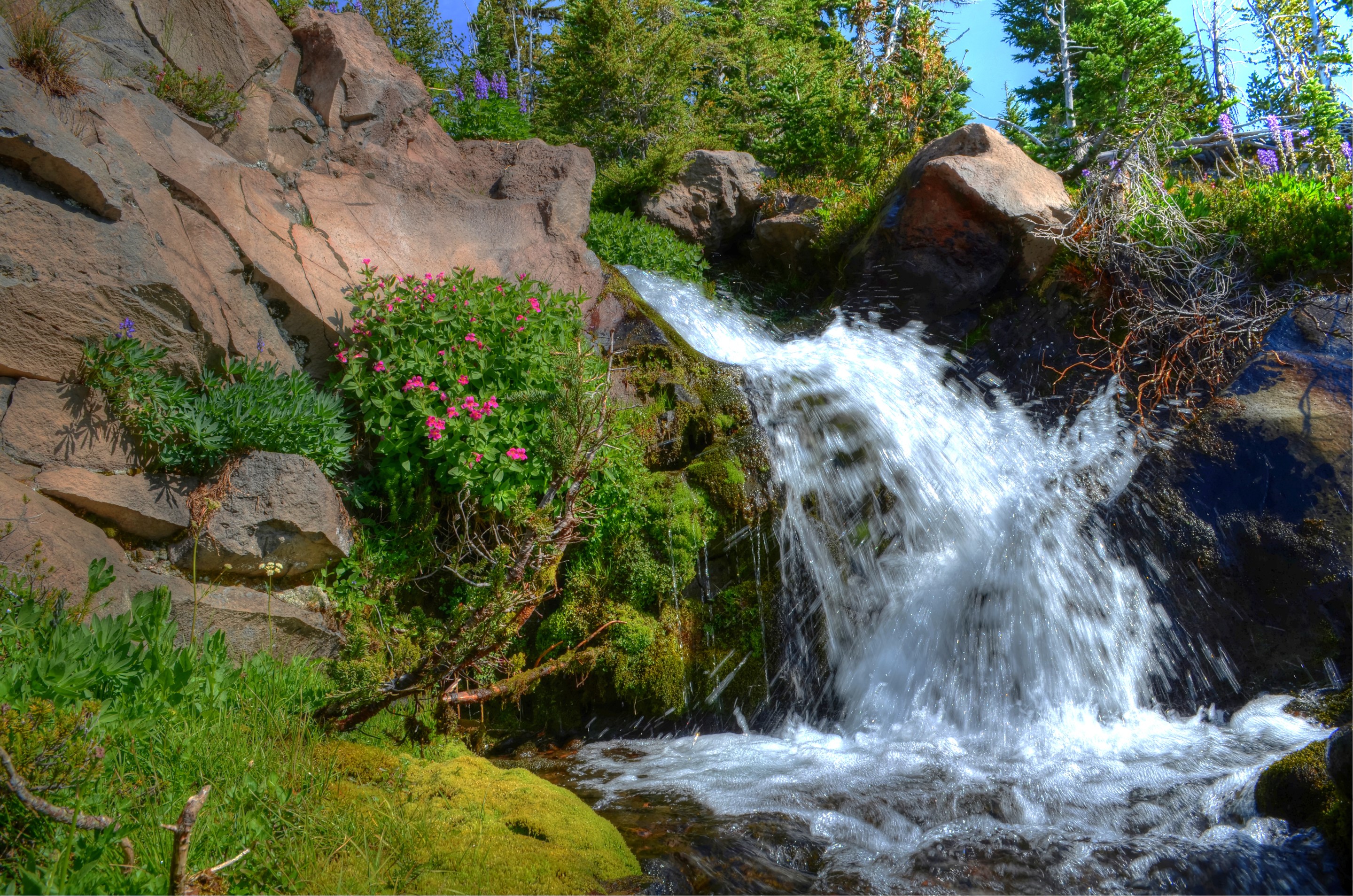Waterfall cascading over rocks with flowers and trees HD Wallpaper
