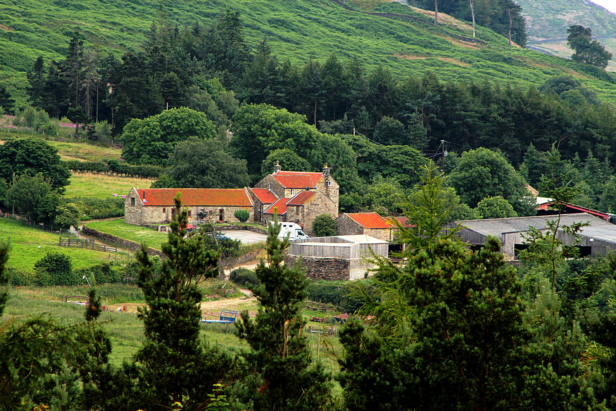 Stone farm buildings with red roofs in a green landscape HD Wallpaper